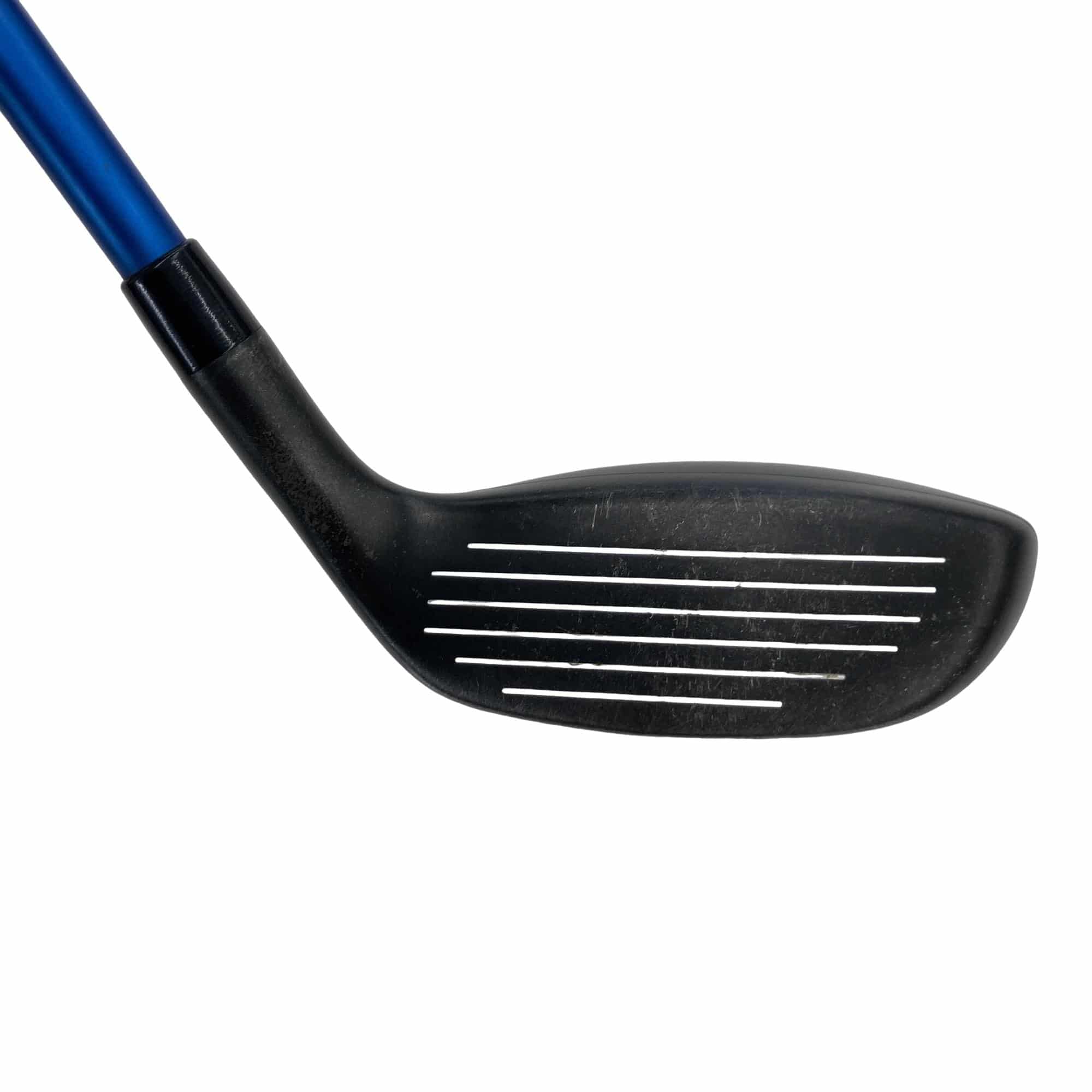 �f�R�O�@�T�t�@���t�e�B