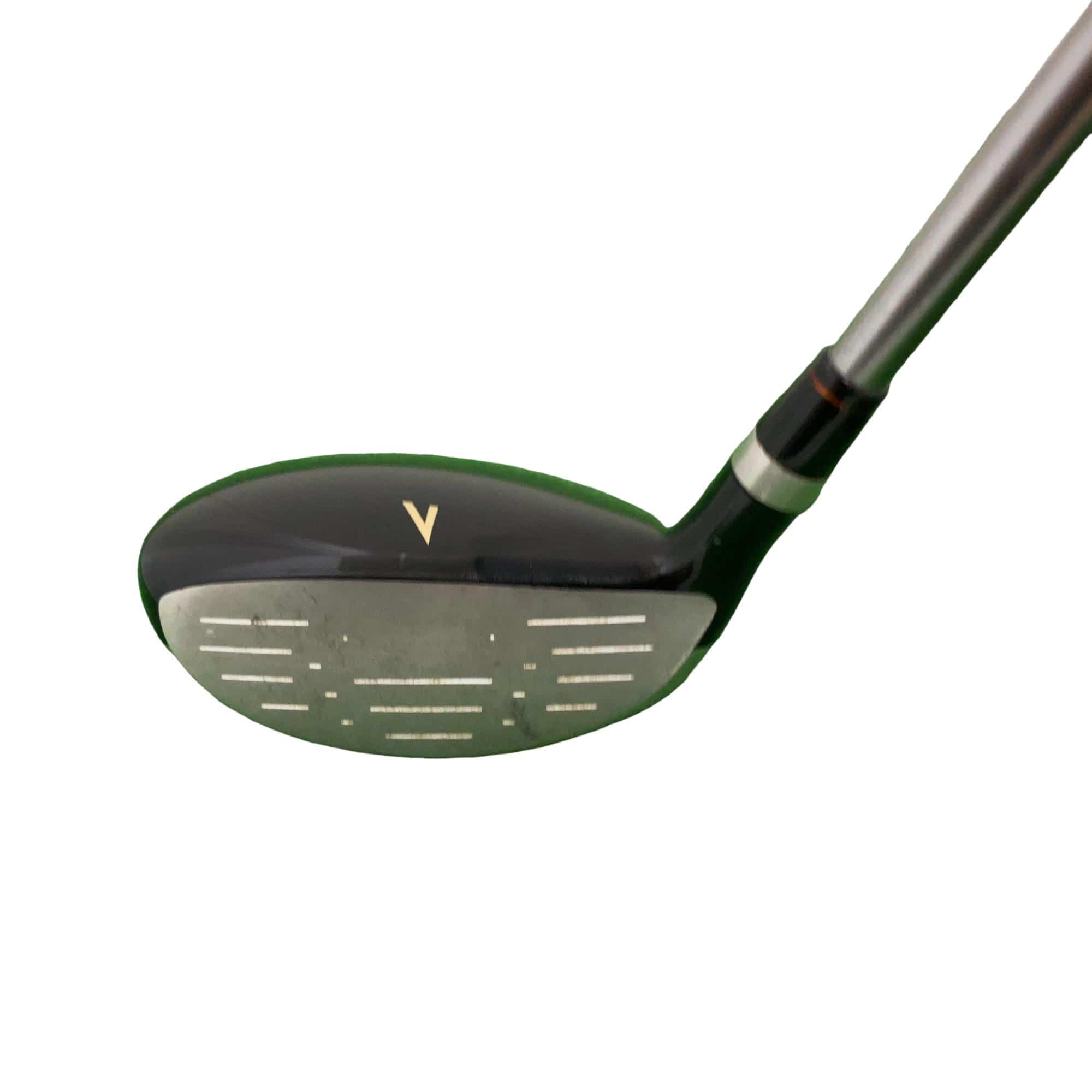 �`�s�g�o�n�q�s�@���{�@�t�|�P�X