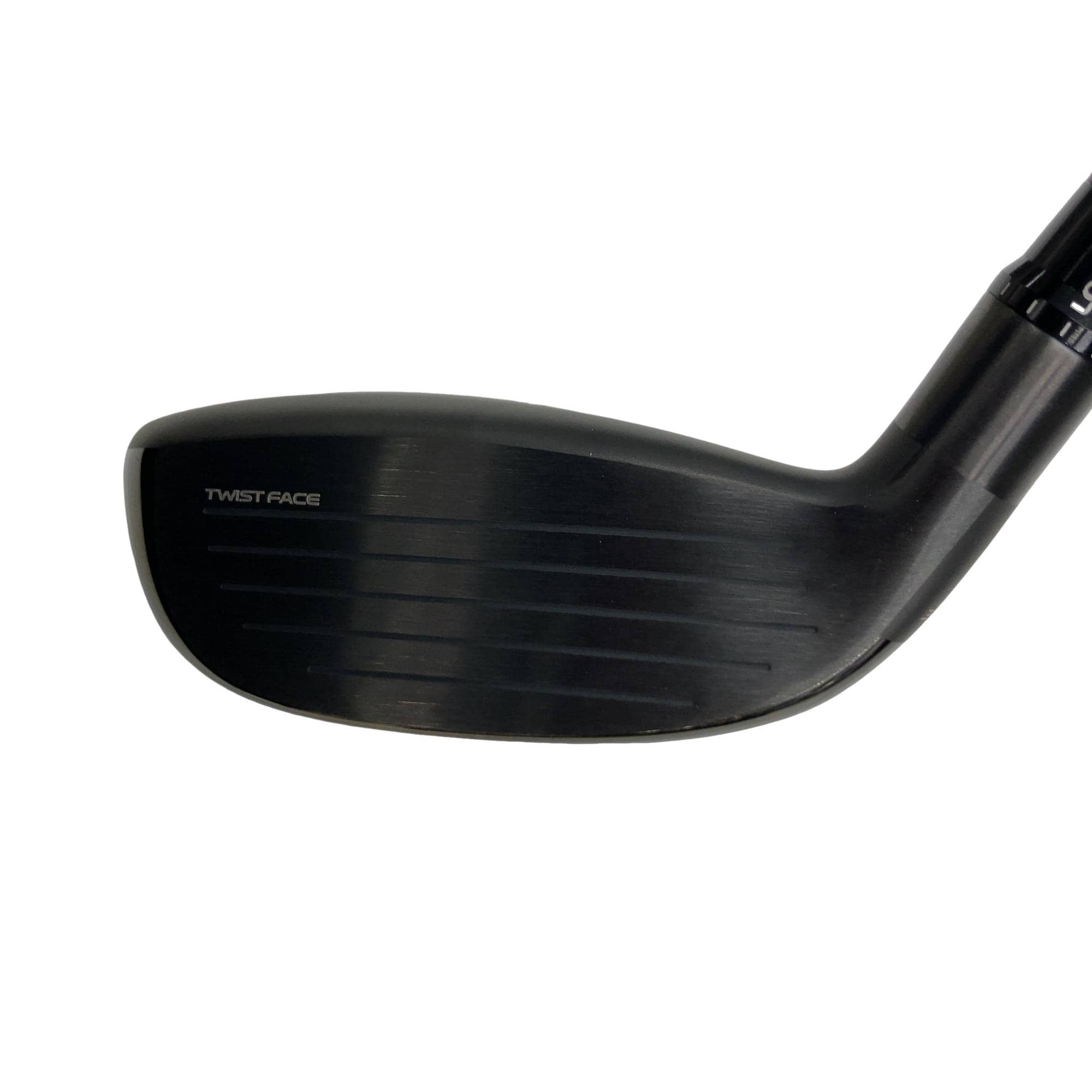 �p���R�T�@�t�R