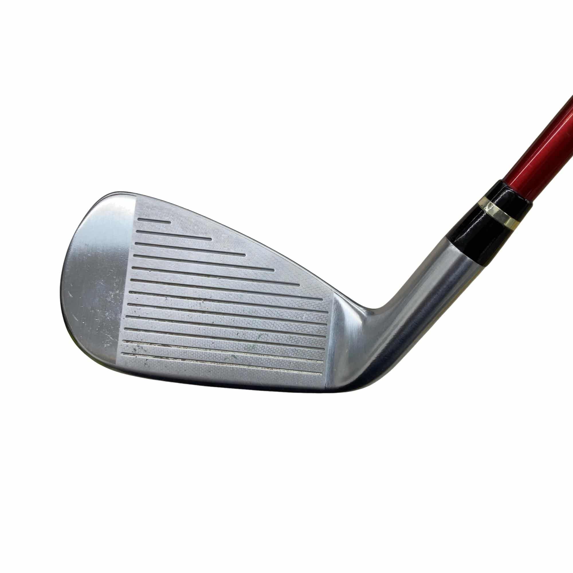 �������������@�q�l�w�@�t�c�{�Q�@�X�r�i���{���F�V�{�Z�b�g�j