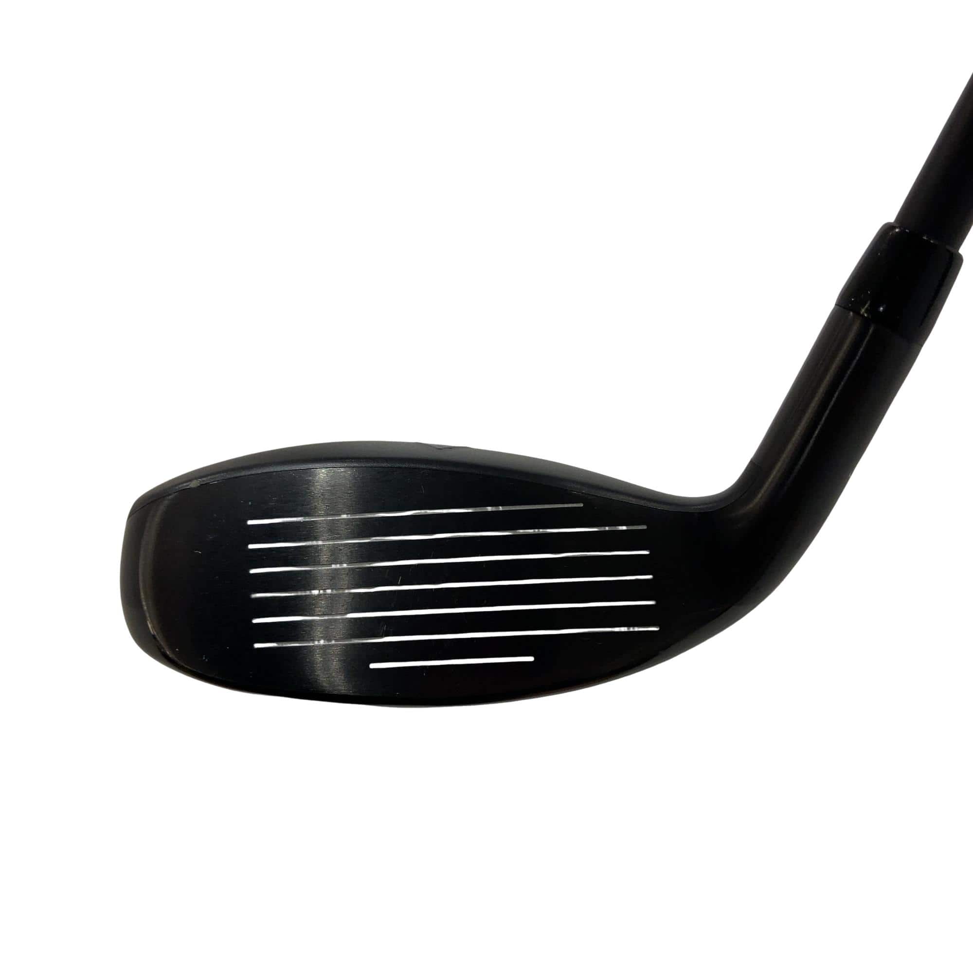 �w�q�@�P�U�@�n�r�@�t�S�@�t�r�`