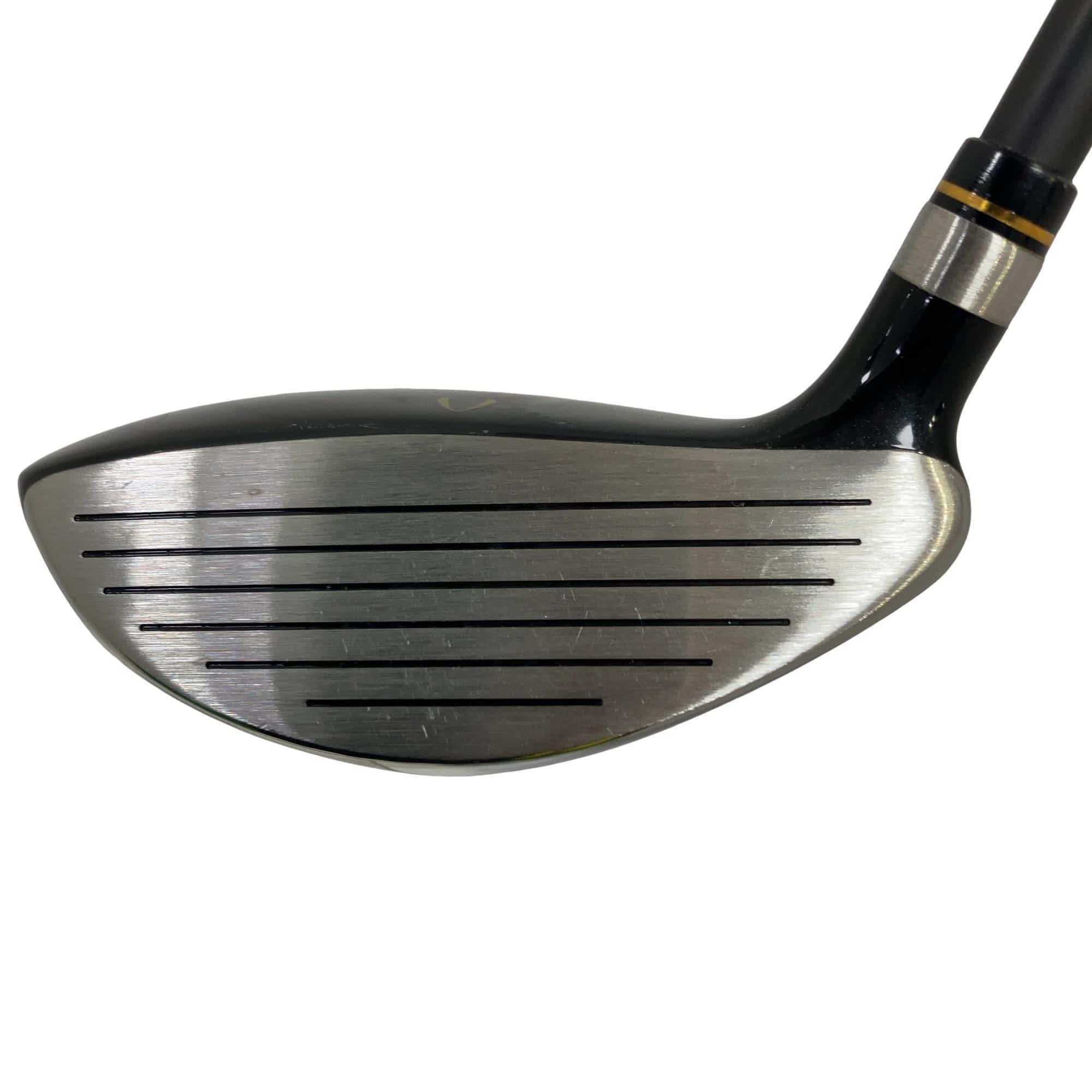 �j�Q�j�@���������O�X���[�e�B���e�B�@�t�T