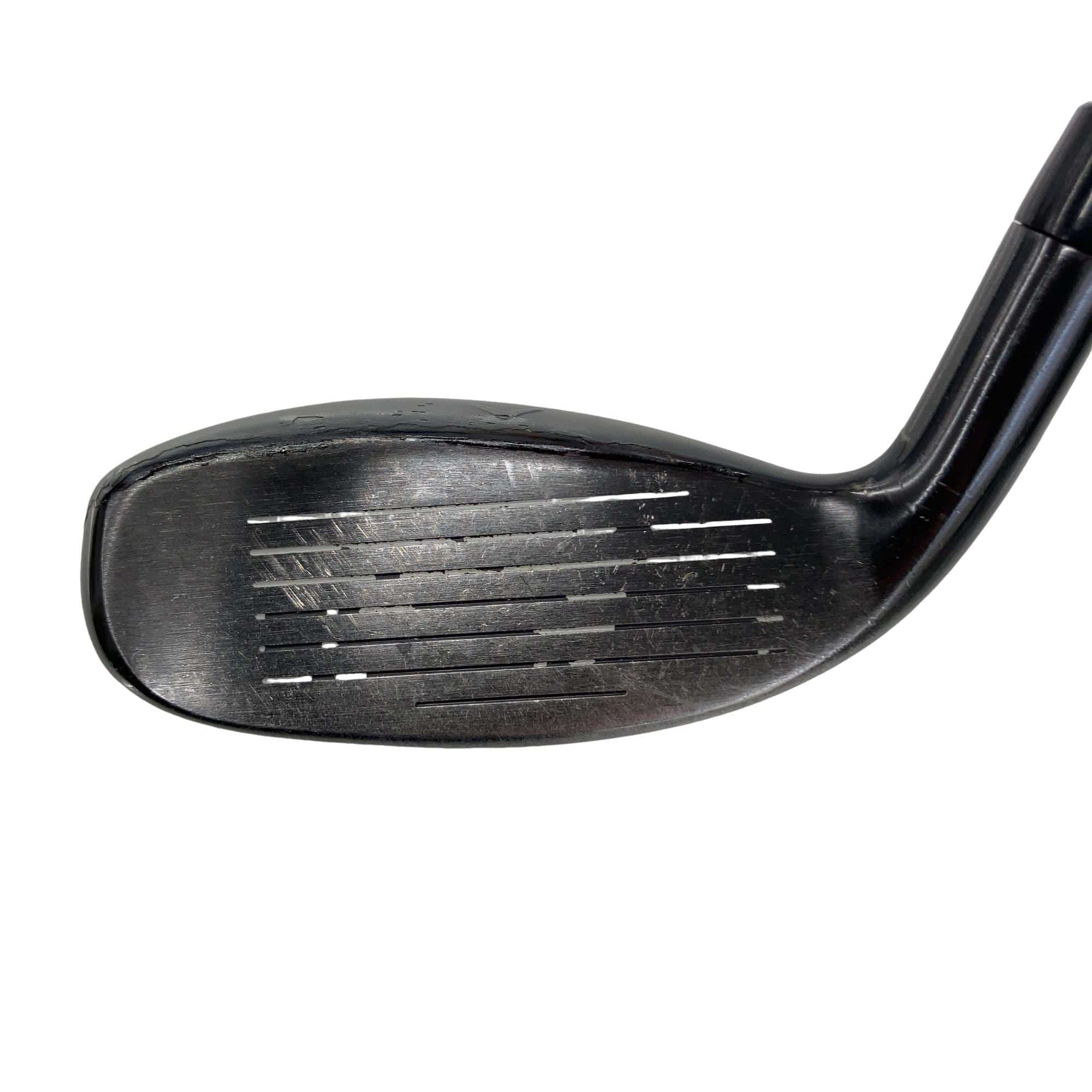 �w�q�@�P�U�@�n�r�@�t�T�@���f�B�[�X