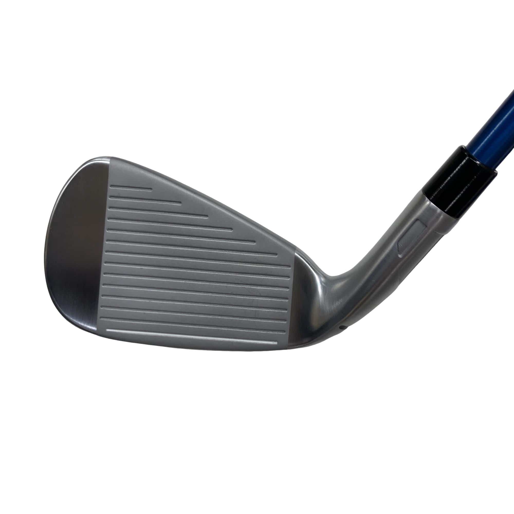 �p���@�g�k�@�T�r�i���{���F�T�{�Z�b�g�j