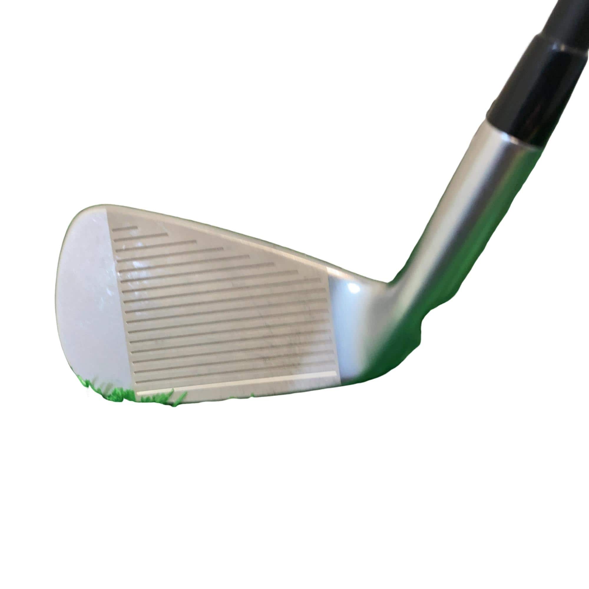 ���T�R�O�@�T�r�i���{���F�S�{�Z�b�g�j