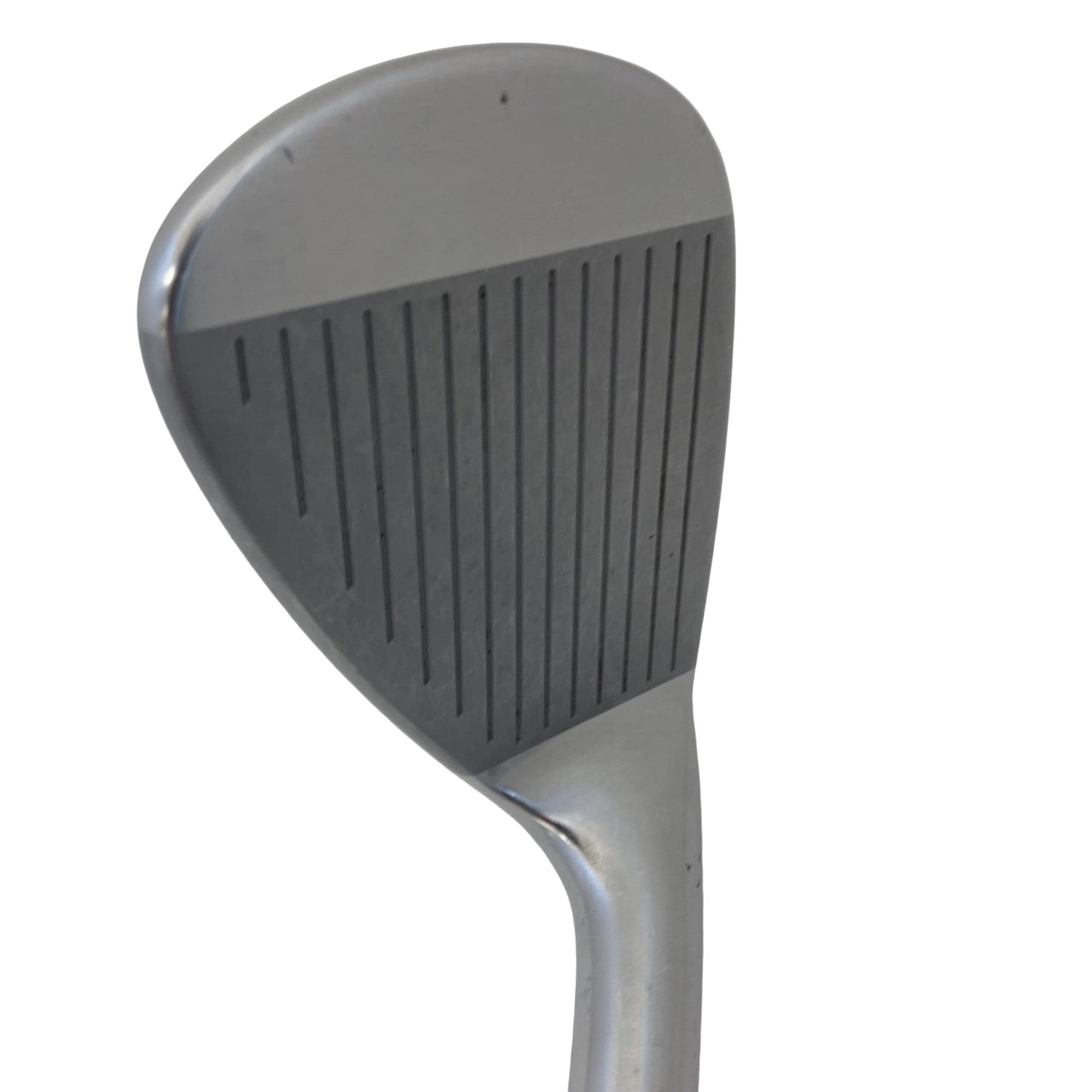 �l�����������@�o�����@�Q�S�T�@�f�v�@���t�e�B