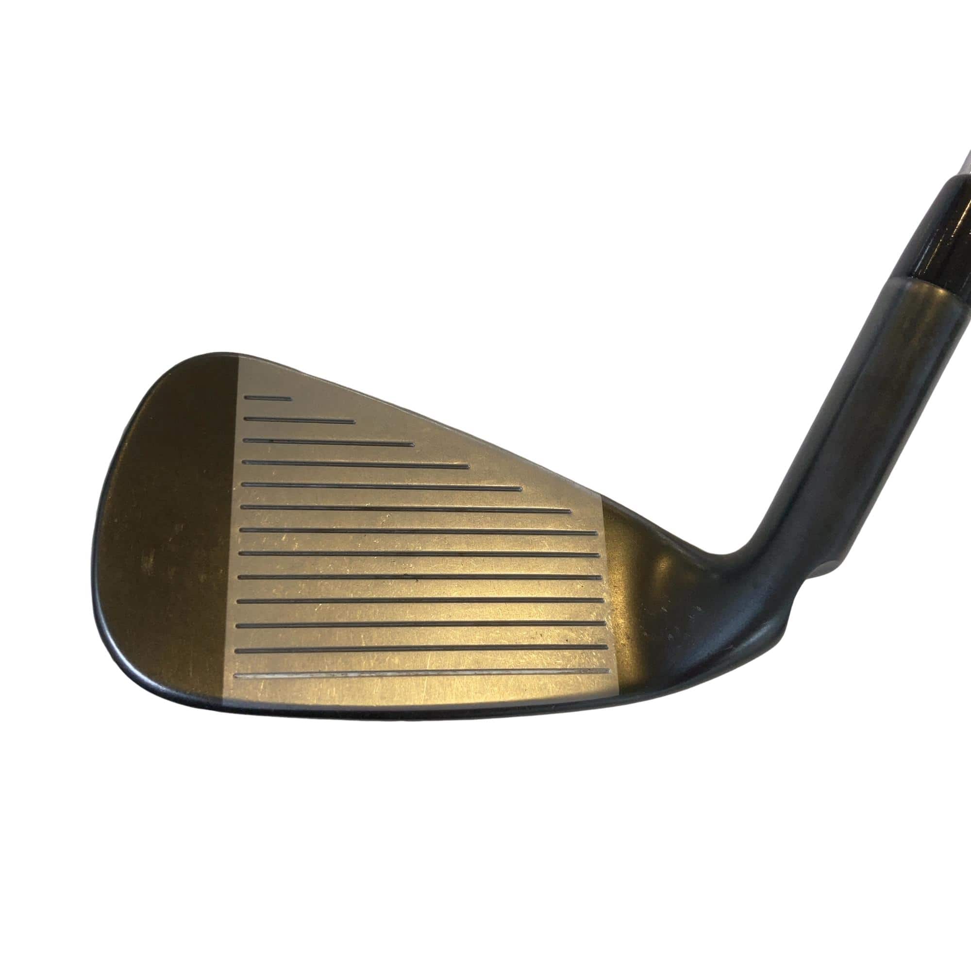 �f�V�P�O�@�T�r�i�A�[�R�X�t���j�i���{���F�T�{�Z�b�g�j