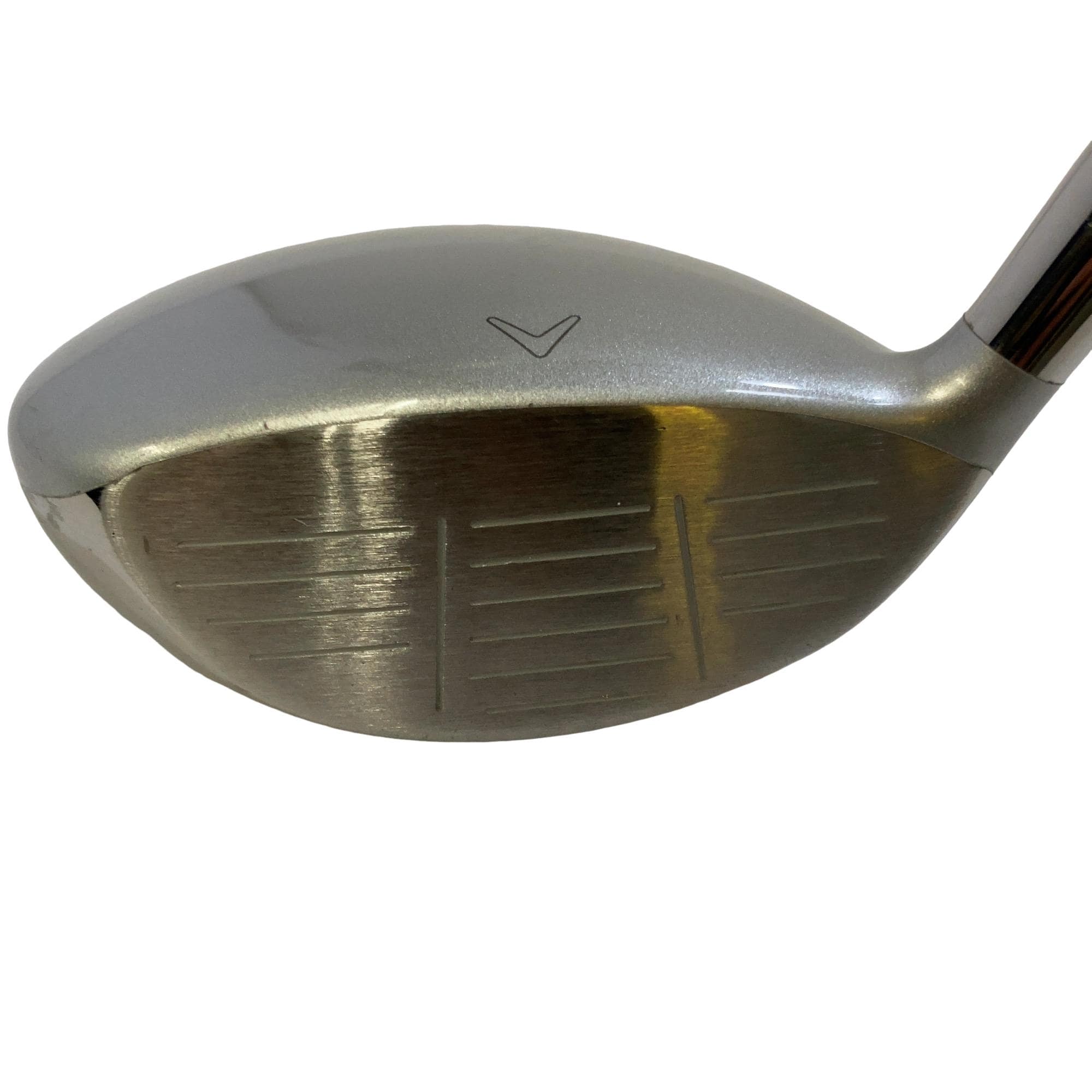 �����������i�Q�O�P�T�j�@�S�v�@���f�B�[�X