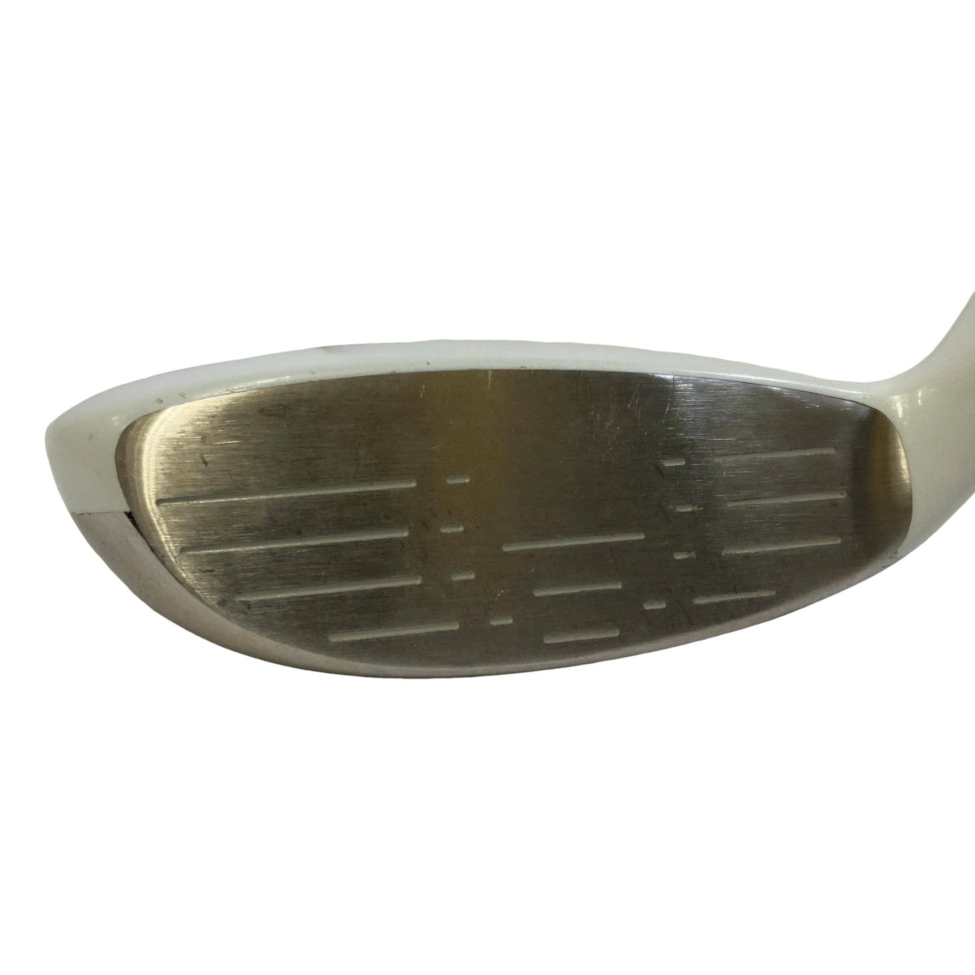 �����������i�Q�O�P�T�j�@�S�g�@���f�B�[�X