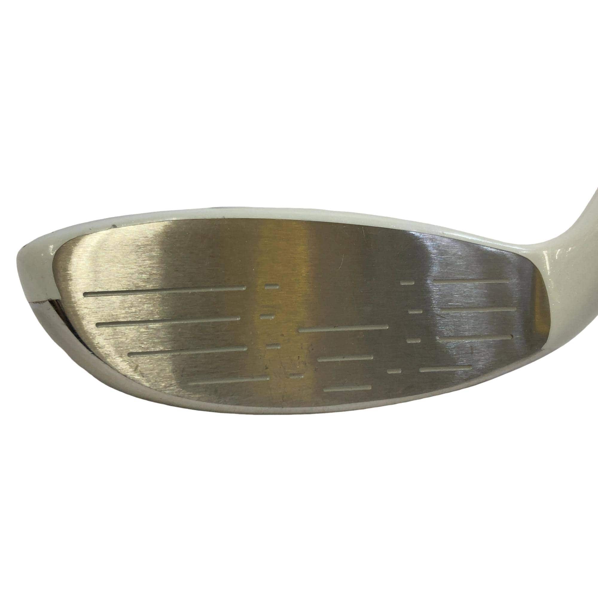 �����������i�Q�O�P�T�j�@�T�g�@���f�B�[�X