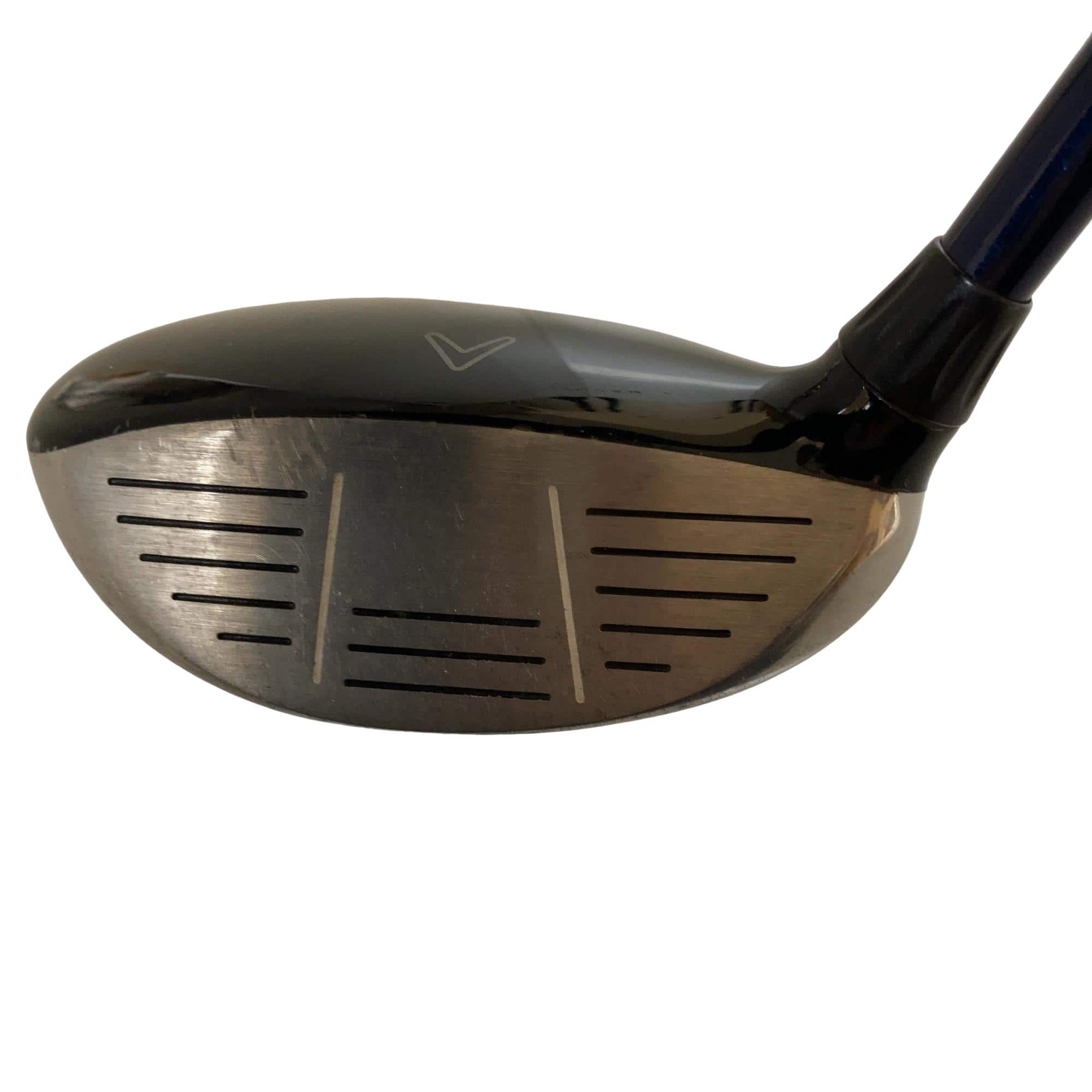 �w�@�c�q�r�@���[�e�B���e�B�@�S�g�i�Q�S°�j