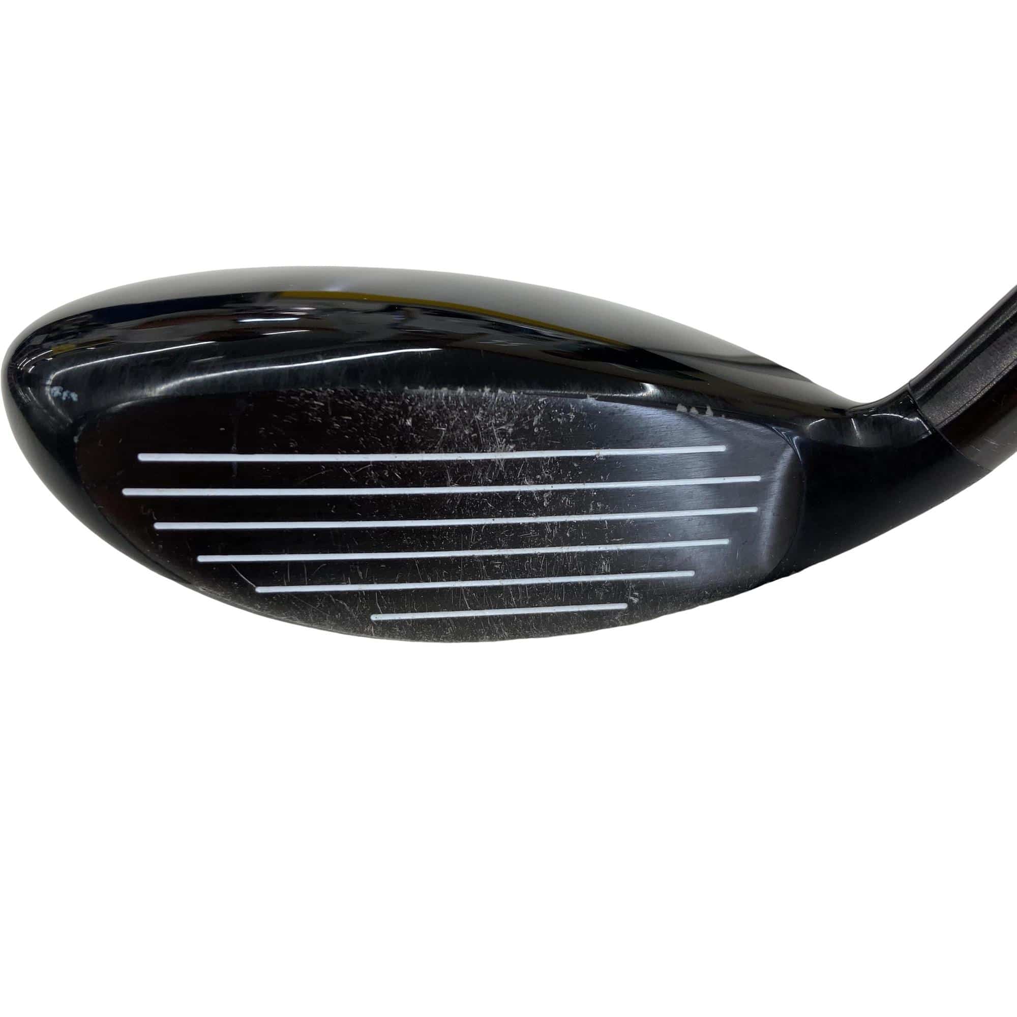 �w�@�g�n�s�@�t�R