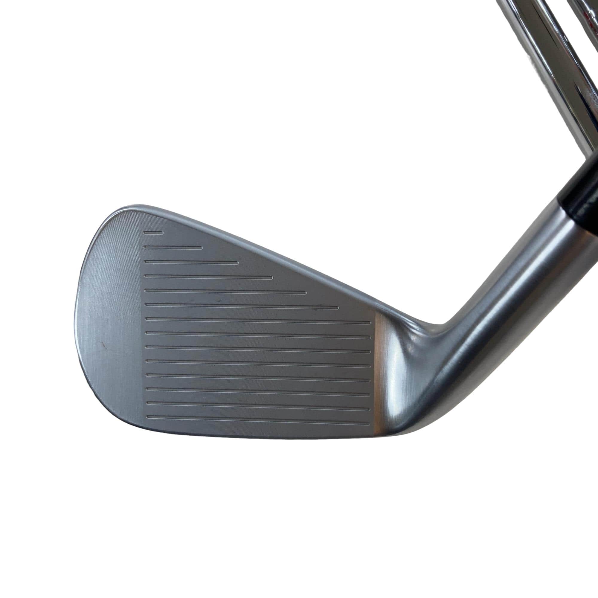 �s�����������@�l�������@�o�E�V�b�a�i�Q�O�Q�S�j�@�T�r�i���{���F�T�{�Z�b�g�j