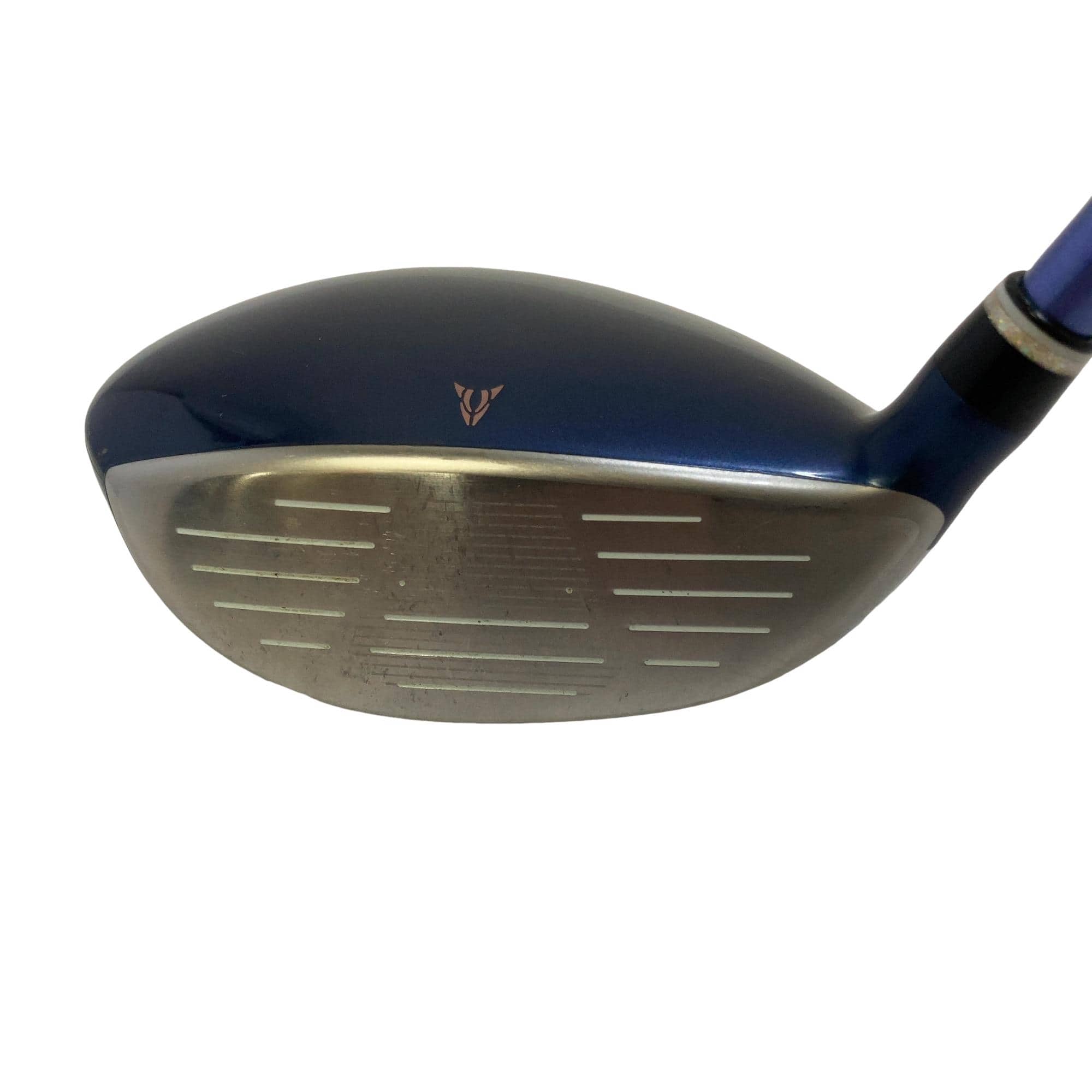 �w�w�h�n�i�Q�O�Q�O�j�@�T�v�@���f�B�[�X