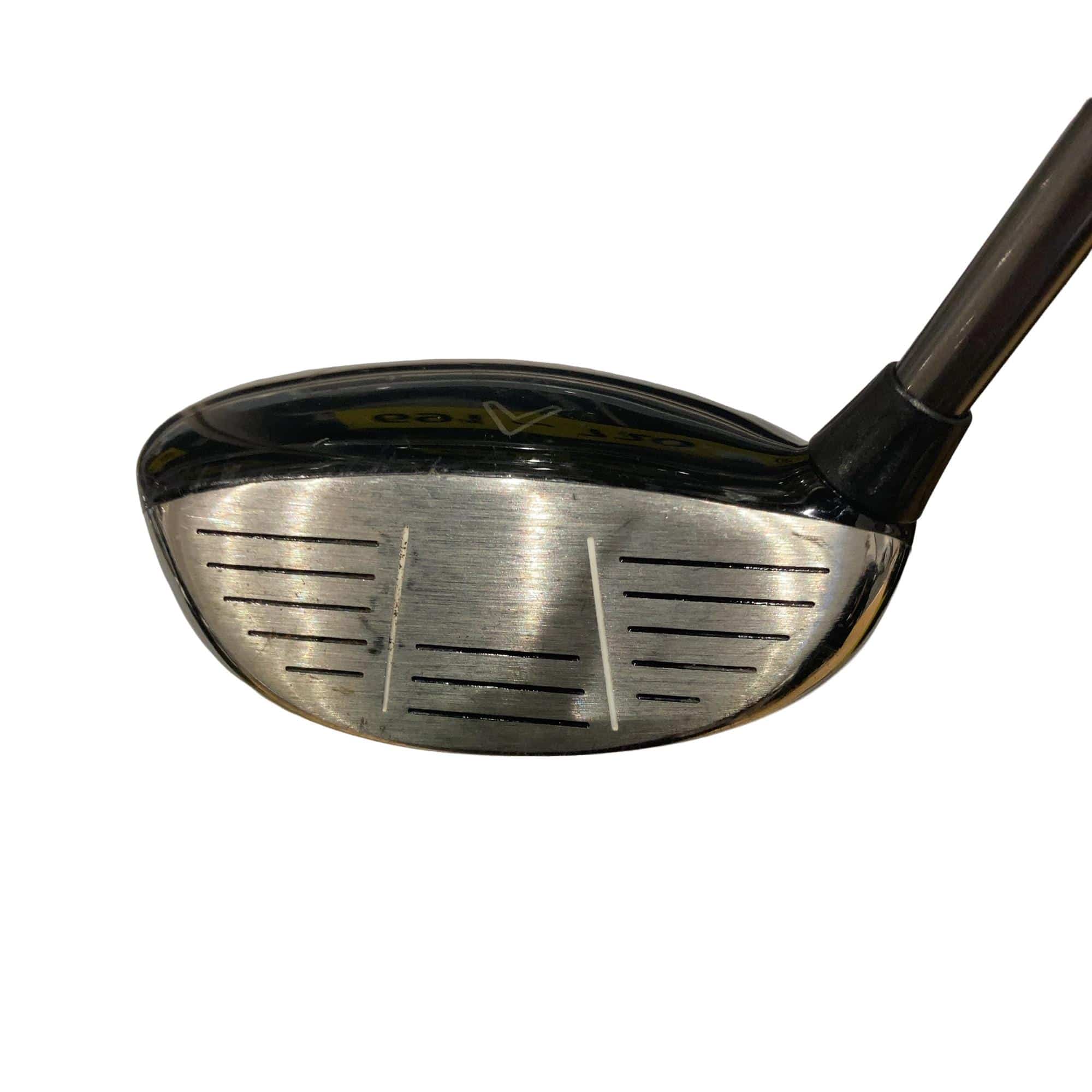 �w�@�c�q�r�@���[�e�B���e�B�@�S�g�i�Q�S°�j