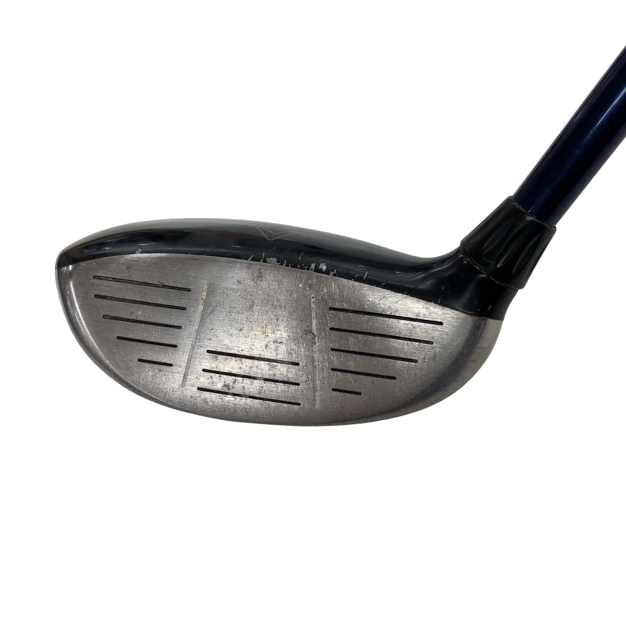 �w�@�c�q�r�@���[�e�B���e�B�@�R�g�i�Q�P°�j