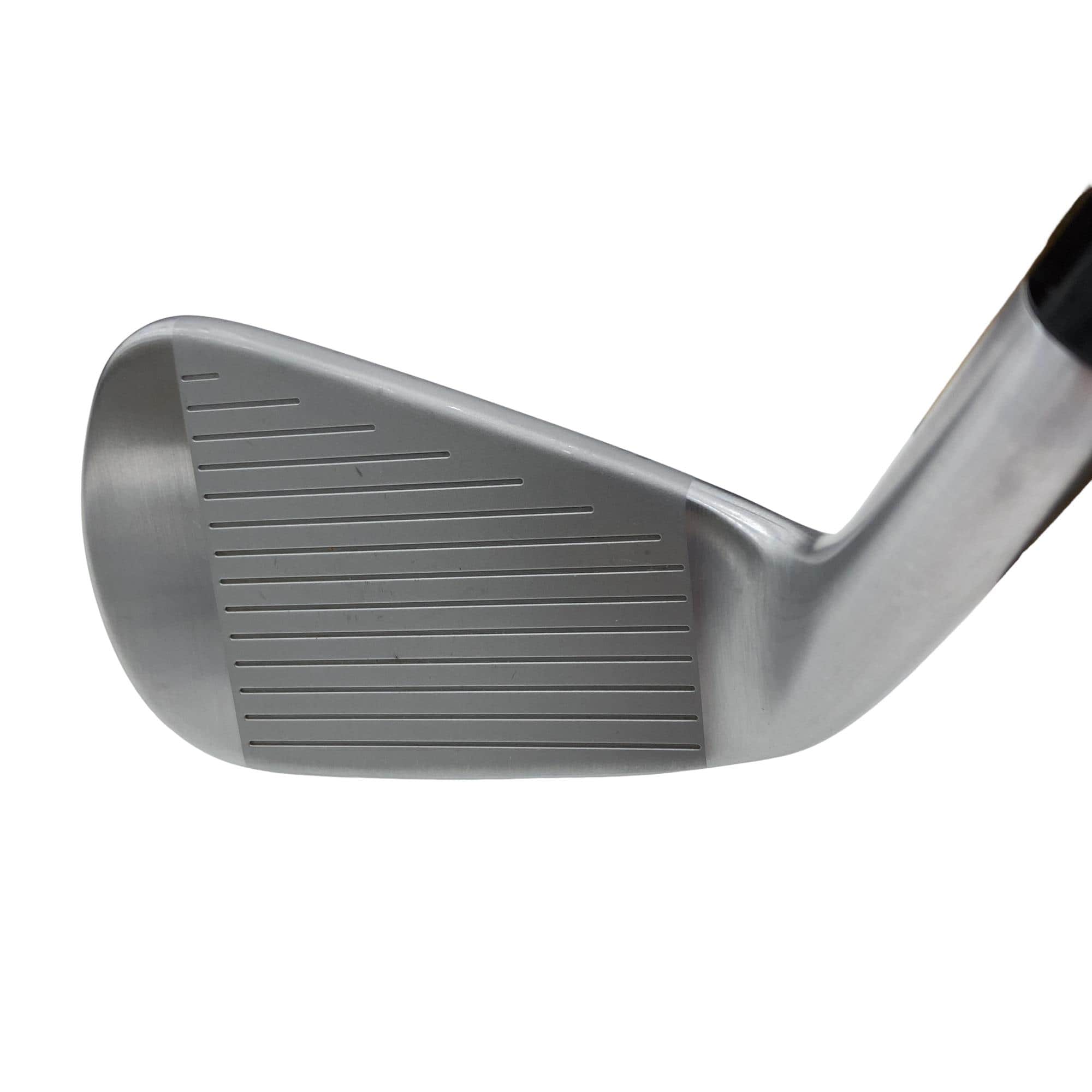 �s�����������@�l�������@�o�E�V�V�O�i�Q�O�Q�S�j�@�T�r�i���{���F�T�{�Z�b�g�j