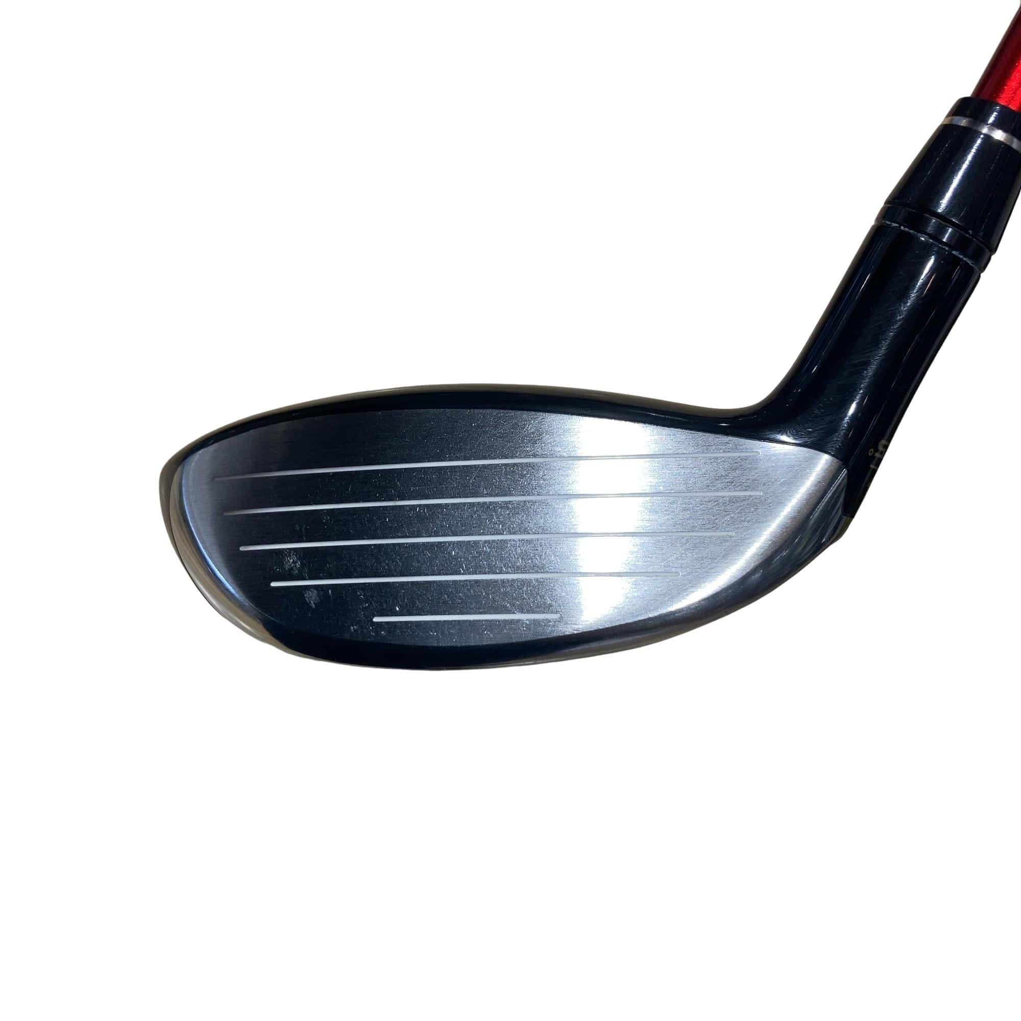 �s�n�t�q�@�v�n�q�k�c�@�s�q�Q�P�@�S�v