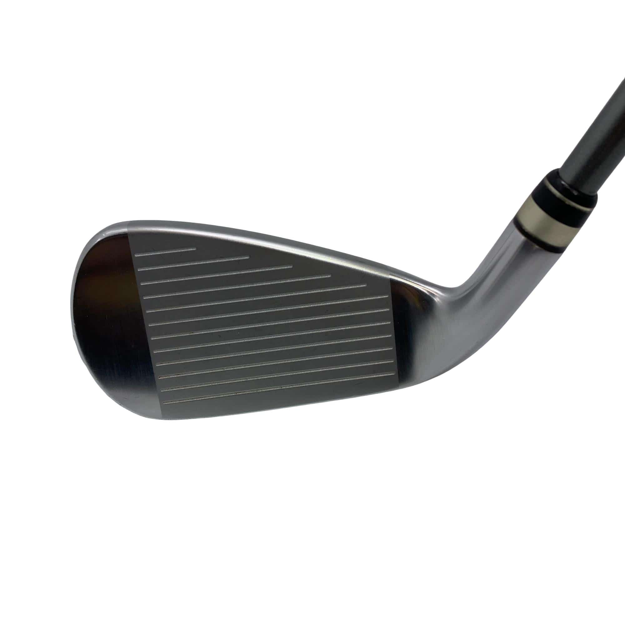 �������i�Q�O�P�X�j�@�V�r�i���{���F�T�{�Z�b�g�j