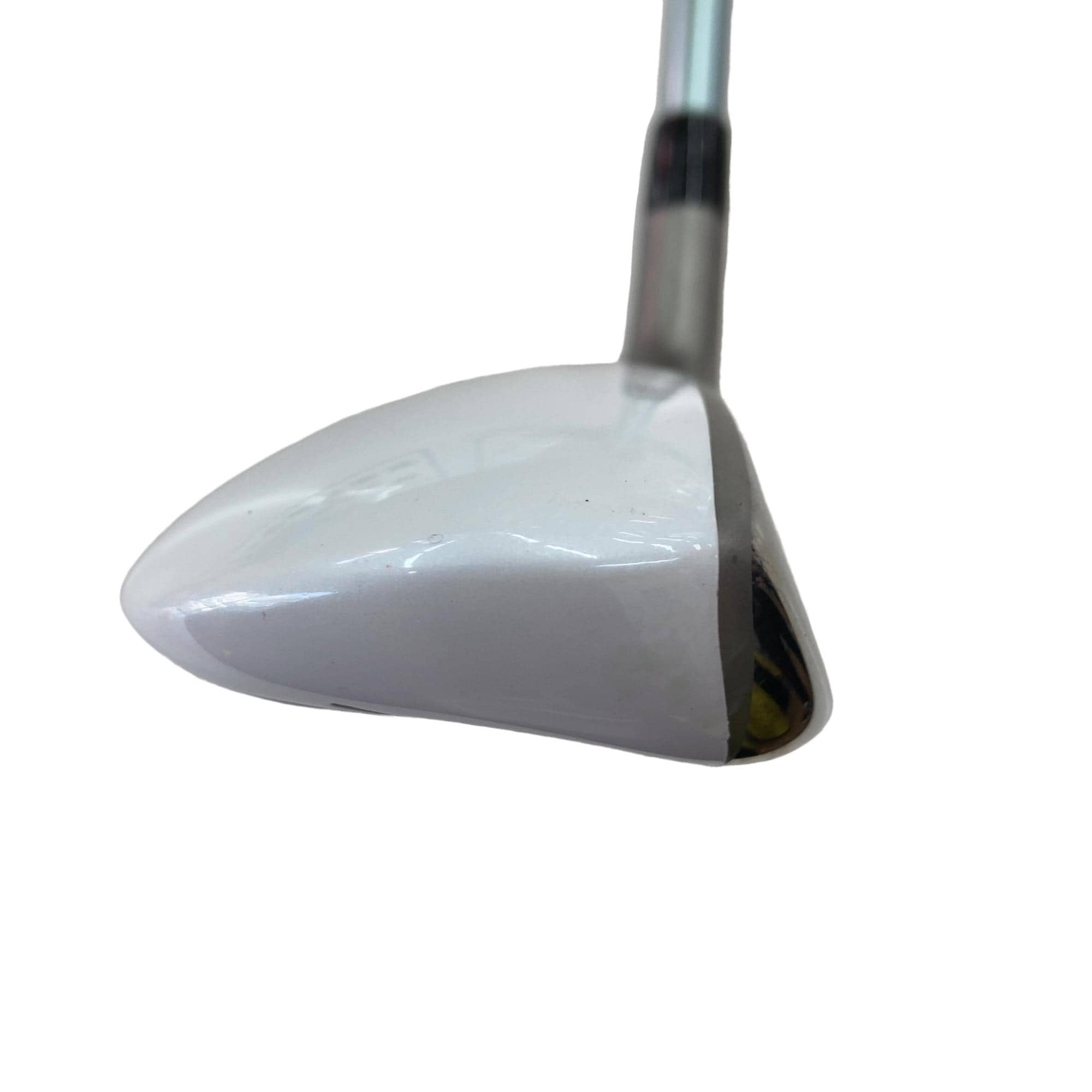 �a�q�|�w�@�t�T�@���f�B�[�X