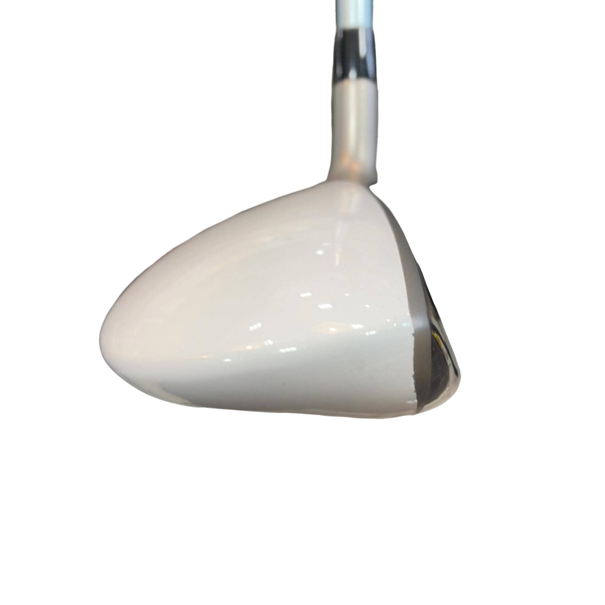 �a�q�|�w�@�t�T�@���f�B�[�X