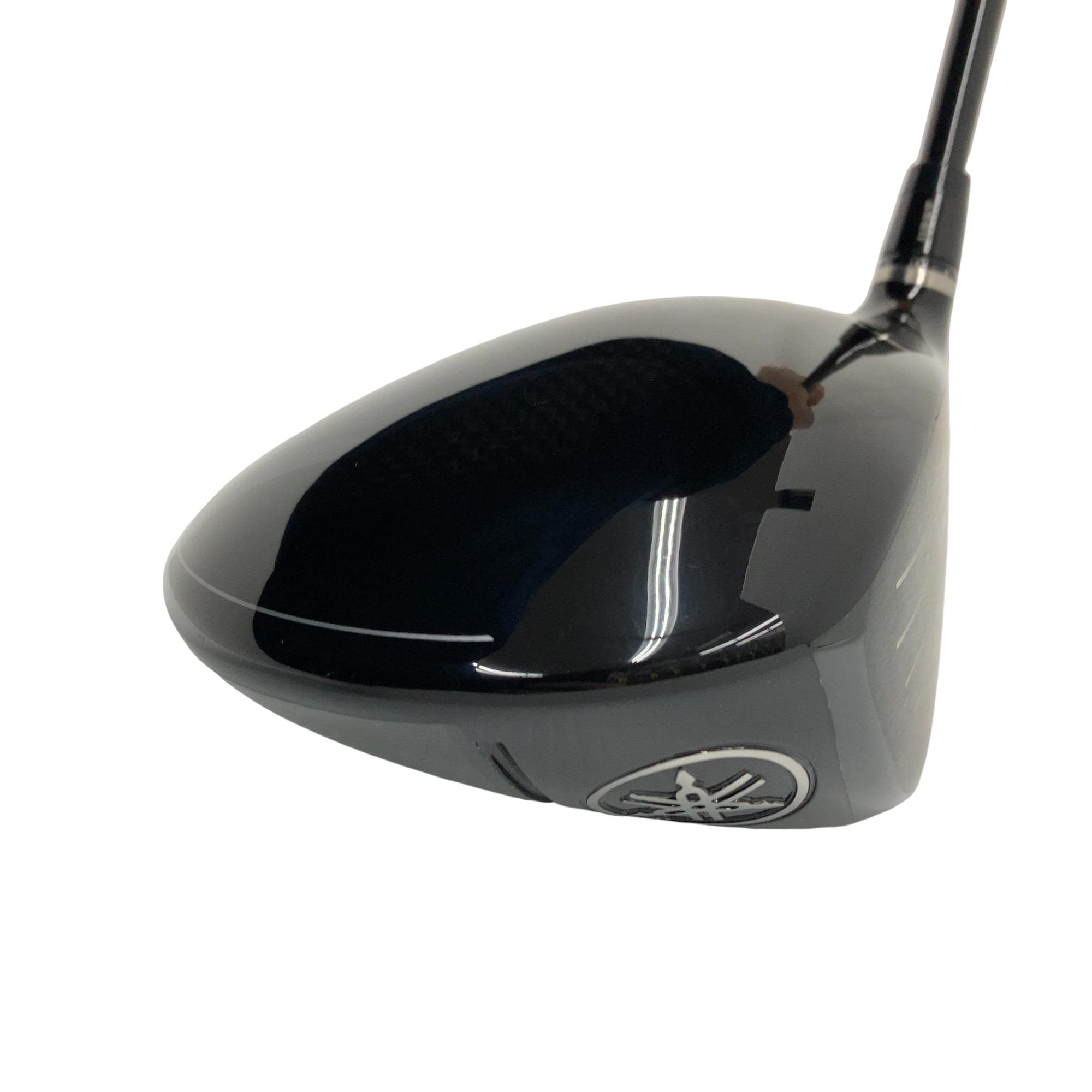 �q�l�w�@�u�c�^�l�i�Q�O�Q�S�j�@�P�O�D�T°