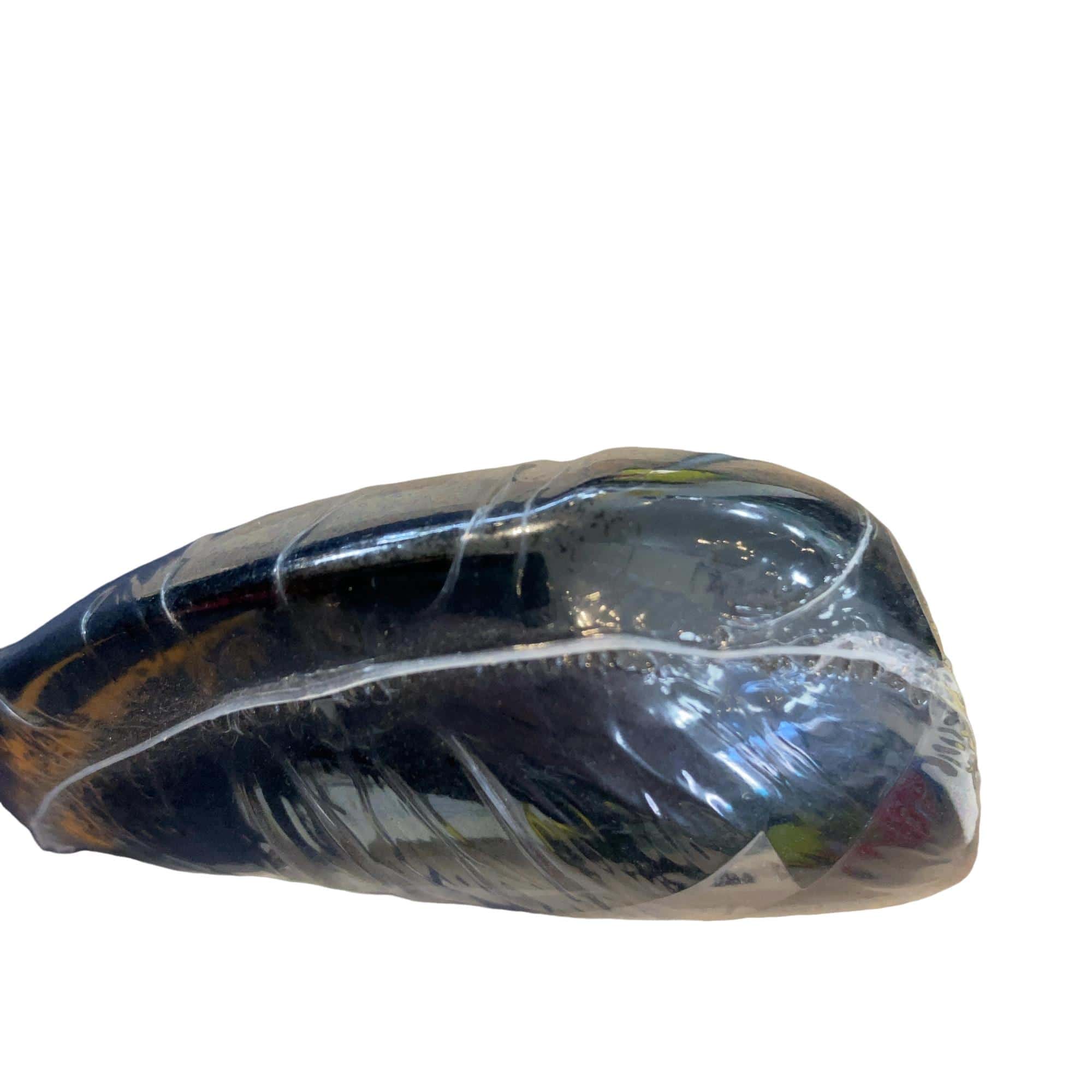 �w�w�h�n�i�Q�O�Q�S�j�@�������@�T�v