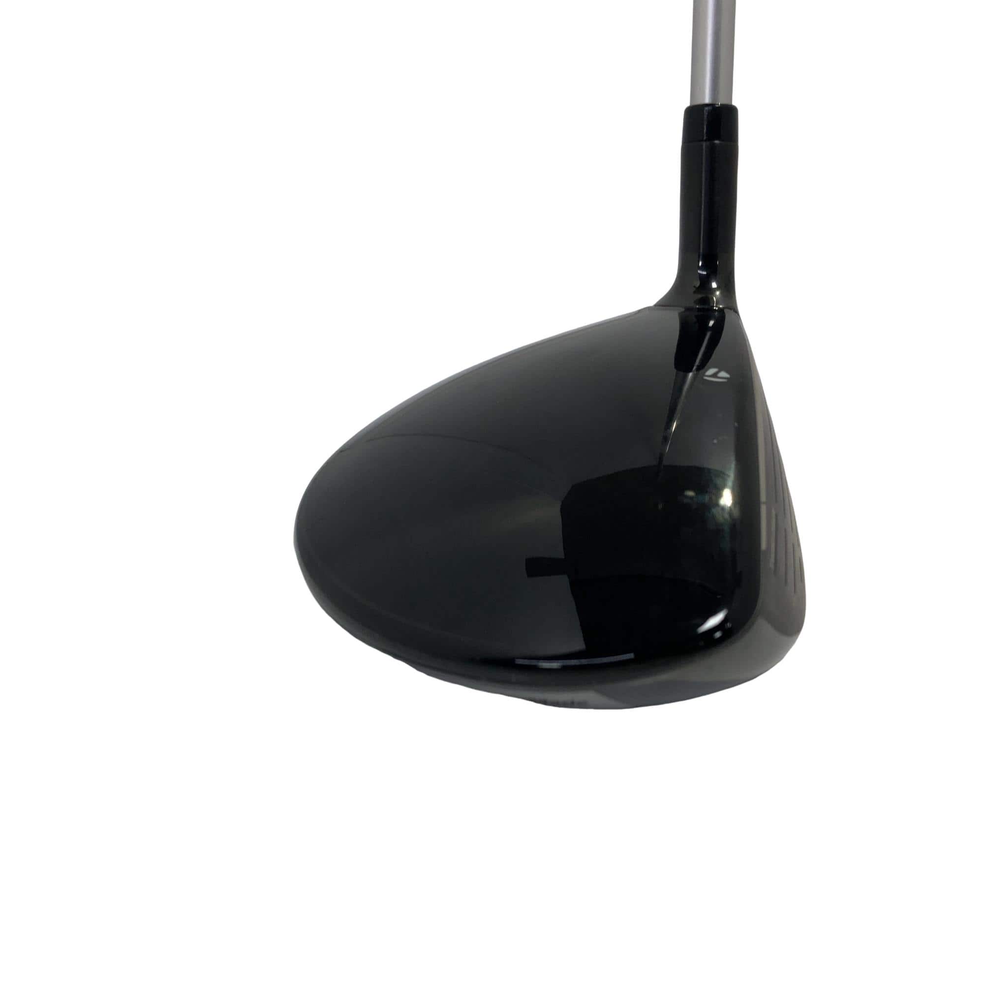 �p���P�O�@�l�`�w�@�T�v�@���f�B�[�X