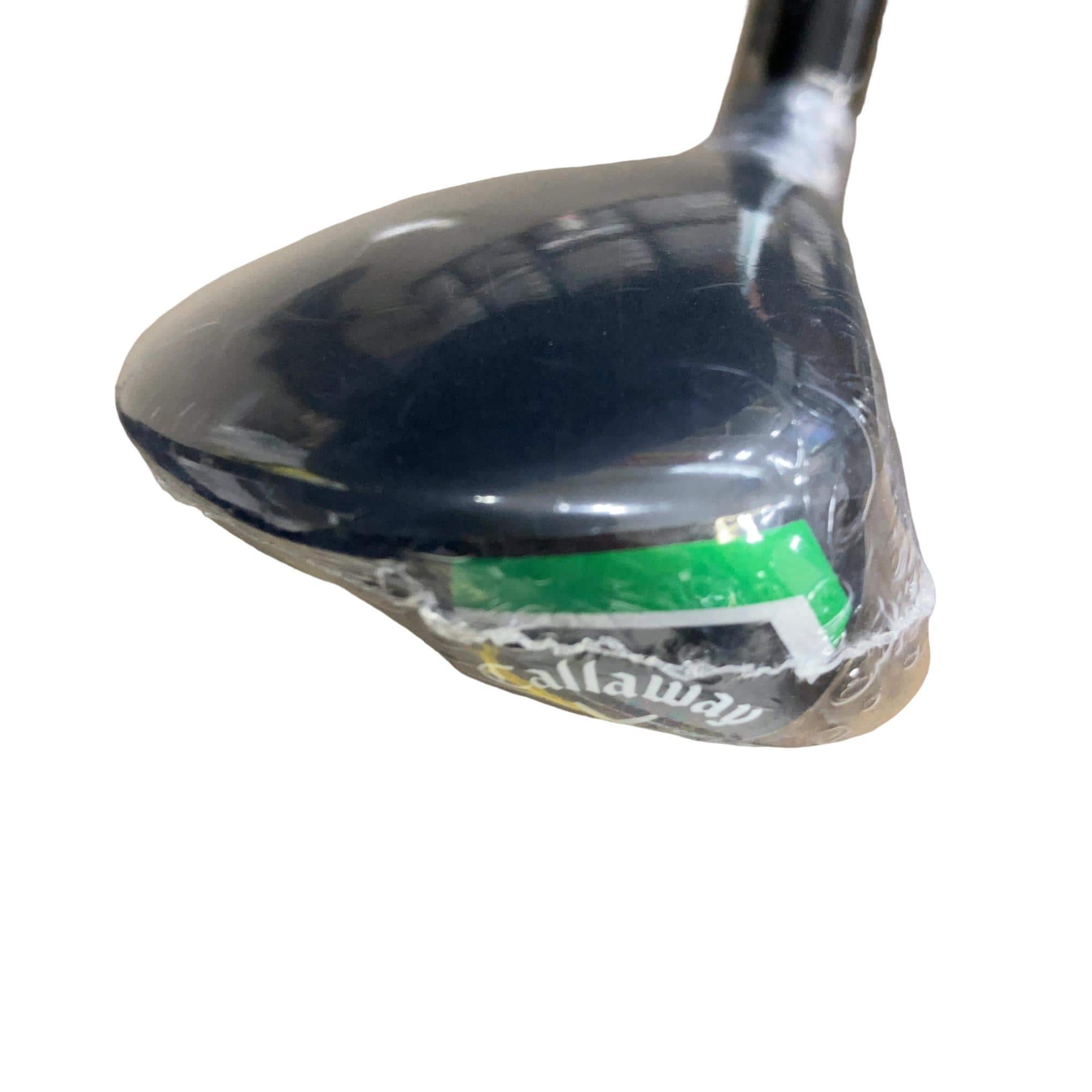 �d�k�x�s�d�@�w�@�t�V�@���f�B�[�X