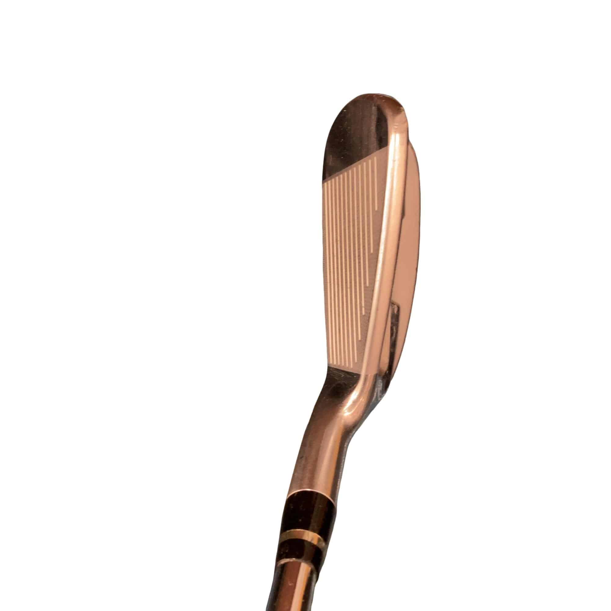 �������������@�q�l�w�@�t�c�{�Q�@�V�r�i���{���F�U�{�Z�b�g�j