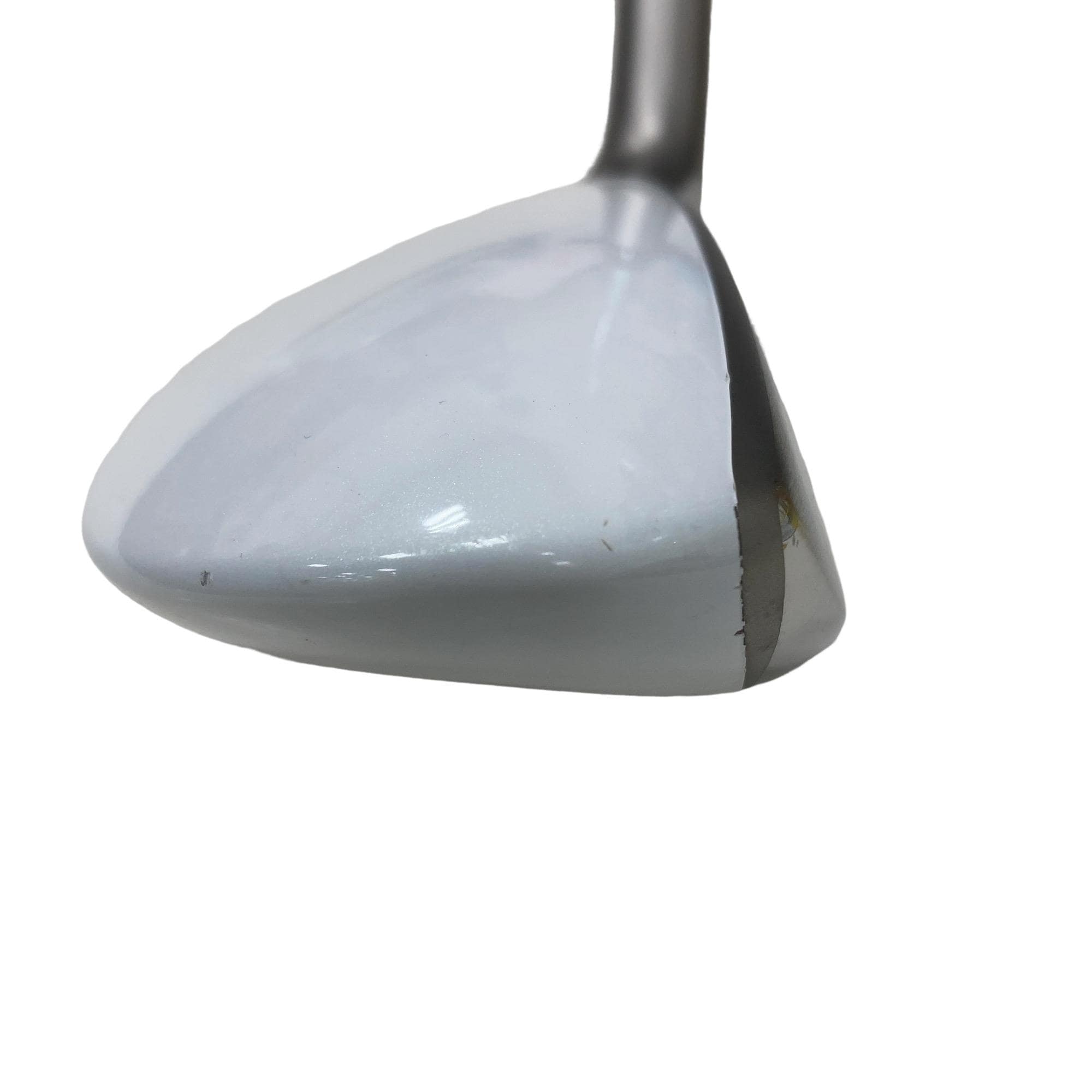 �a�q�|�w�@�t�T�@���f�B�[�X