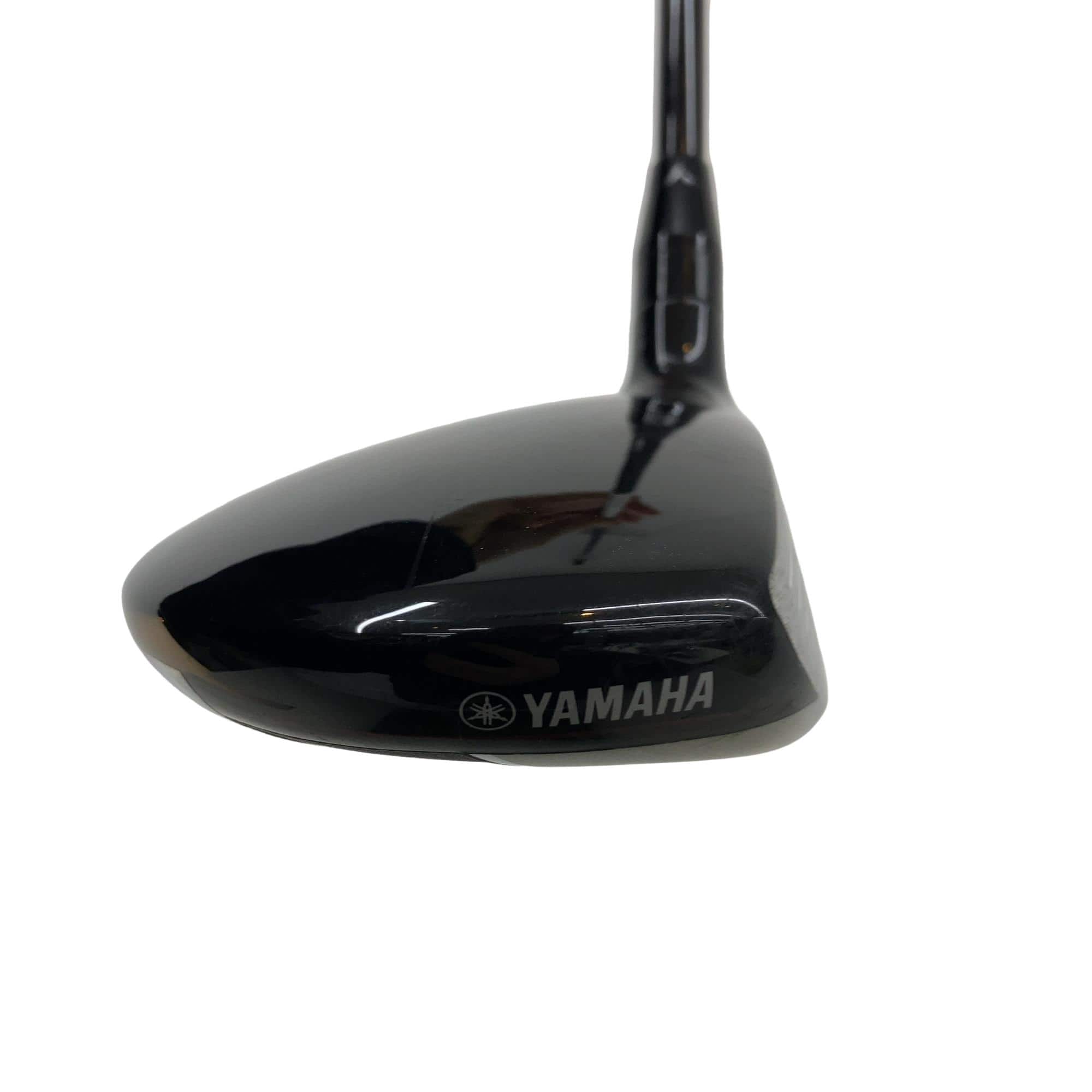 �������������@�q�l�w�@�T�v