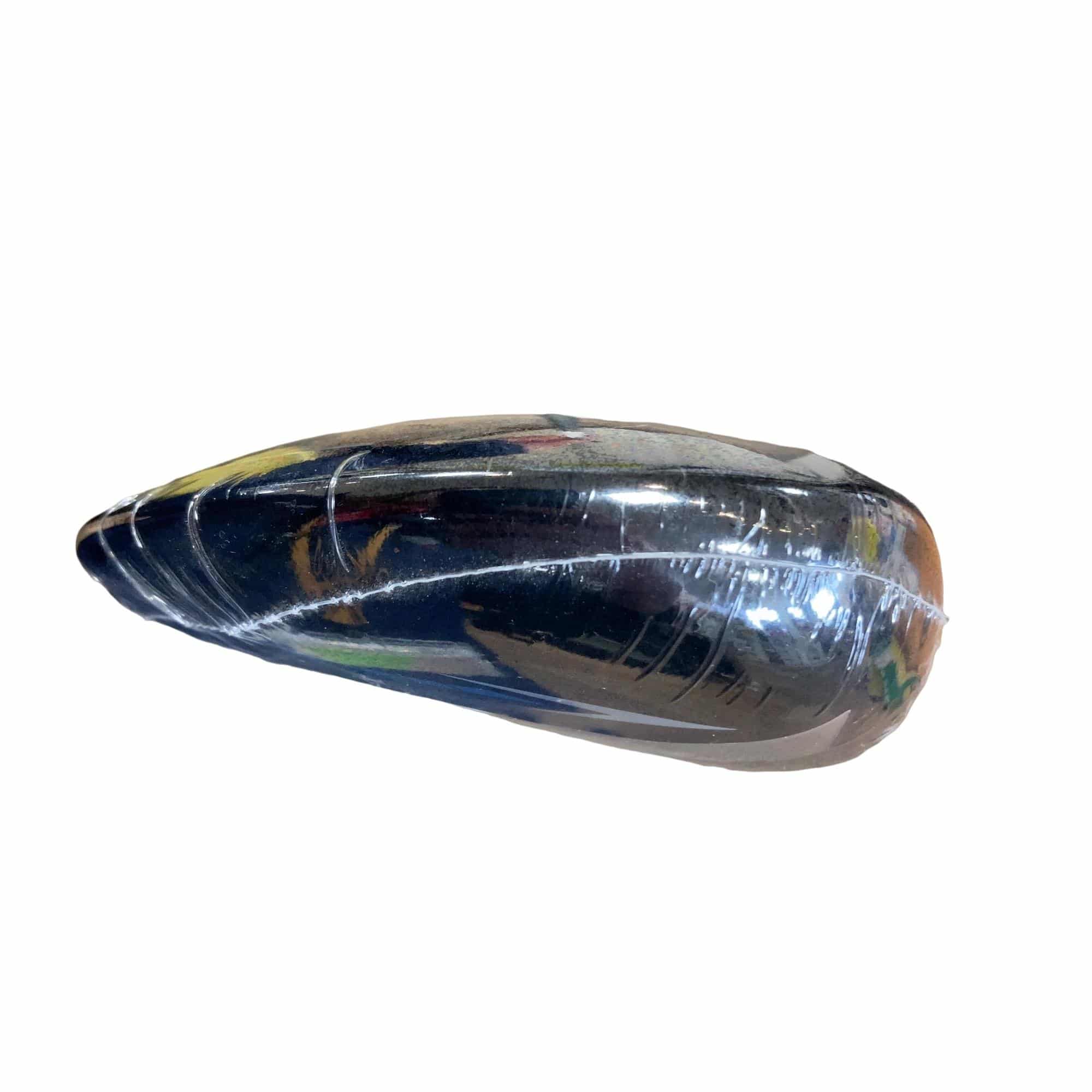 �w�w�h�n�i�Q�O�Q�S�j�@�������@�T�v