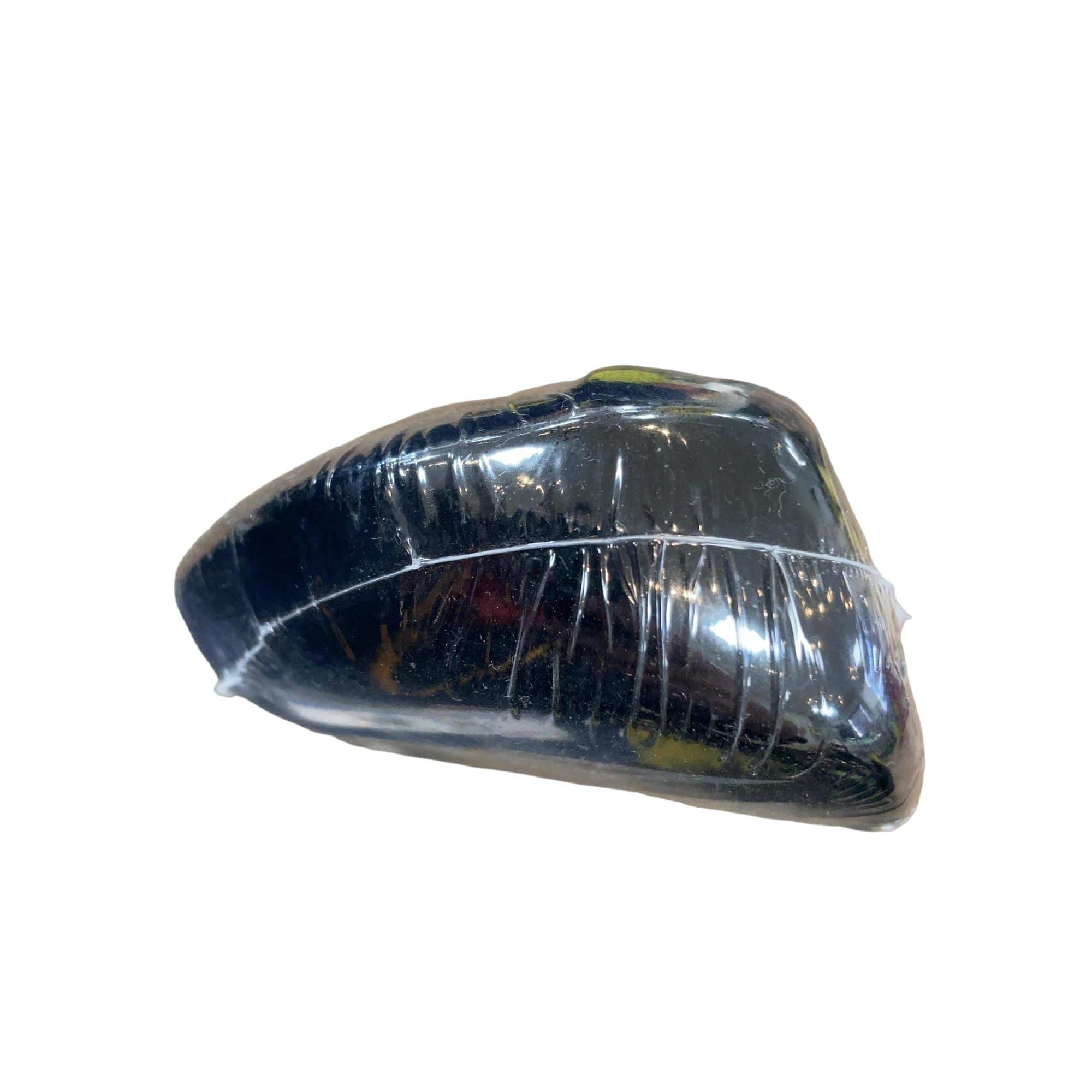 �w�w�h�n�i�Q�O�Q�S�j�@�������@�g�T