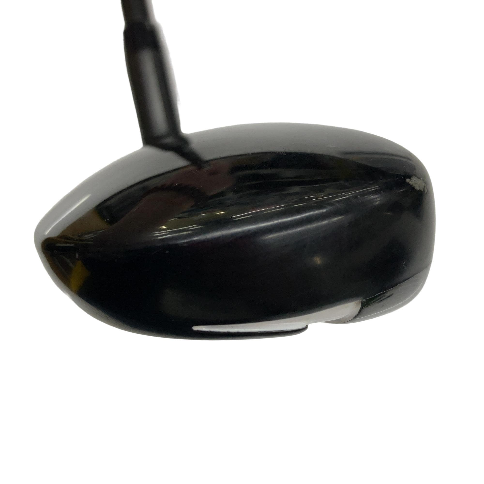 �w�Q�@�g�n�s�@�t�R