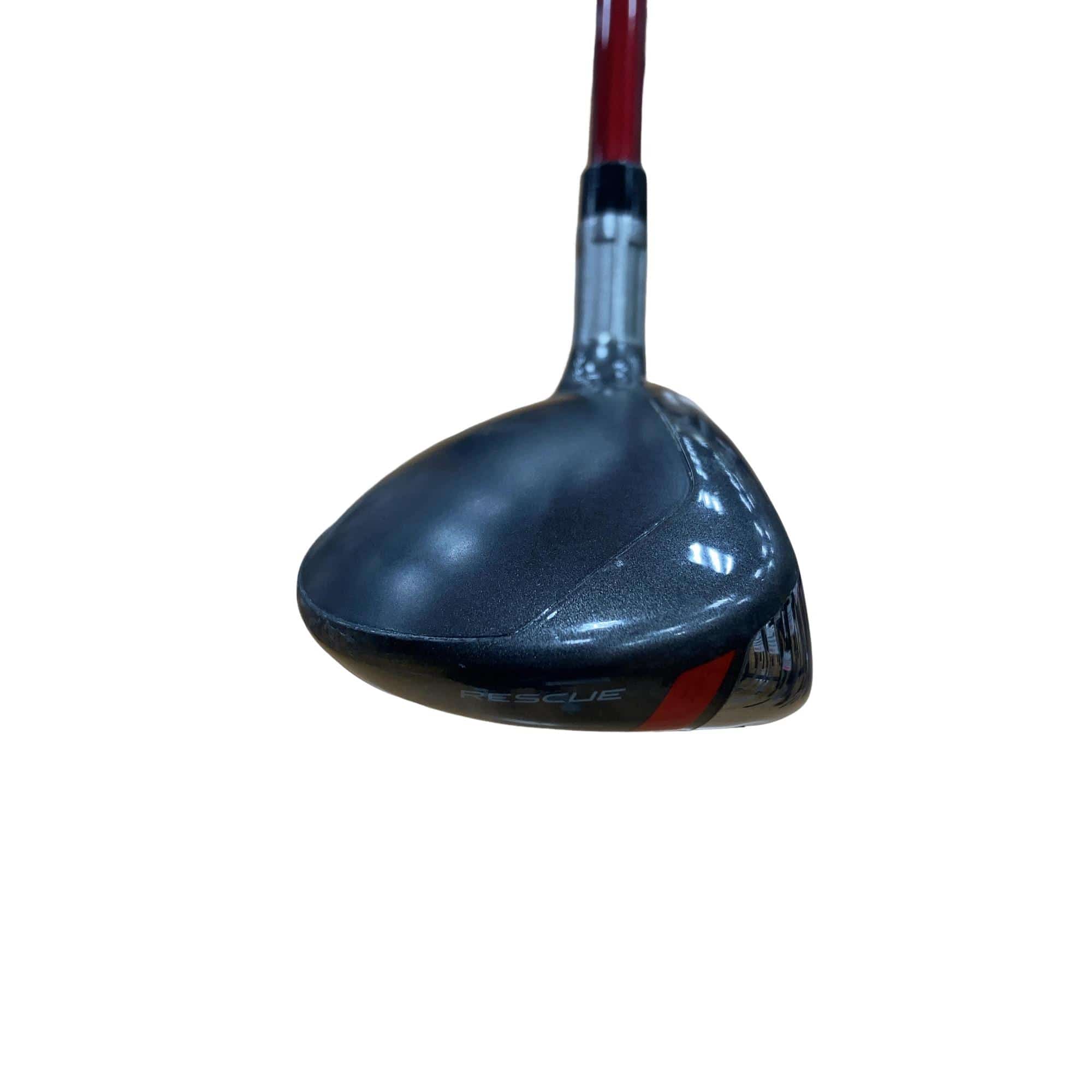 �r�s�d�`�k�s�g�@�t�S�@���f�B�[�X