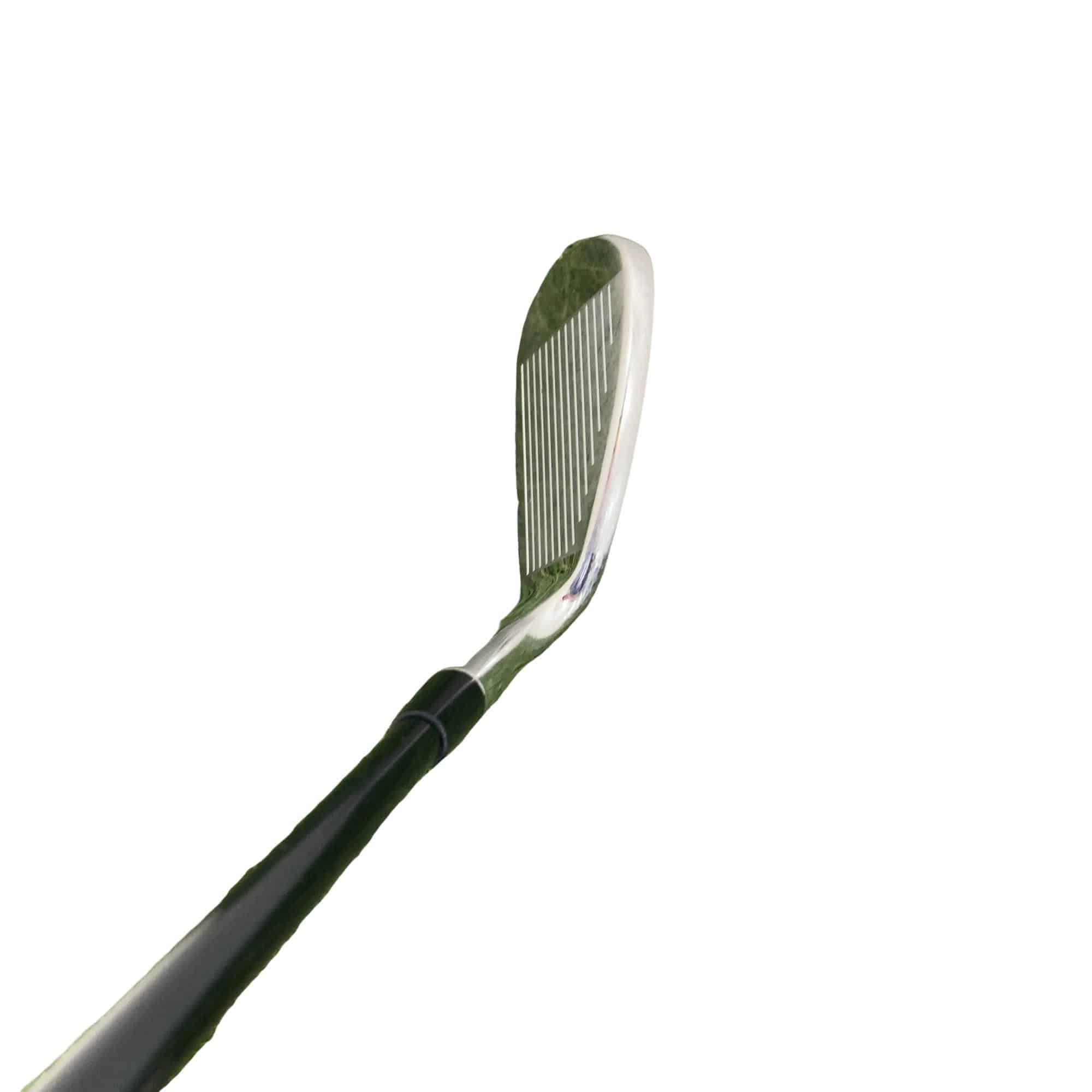 �l�����������@�o�����@�s���P�W�@�T�r�i���{���F�T�{�Z�b�g�j