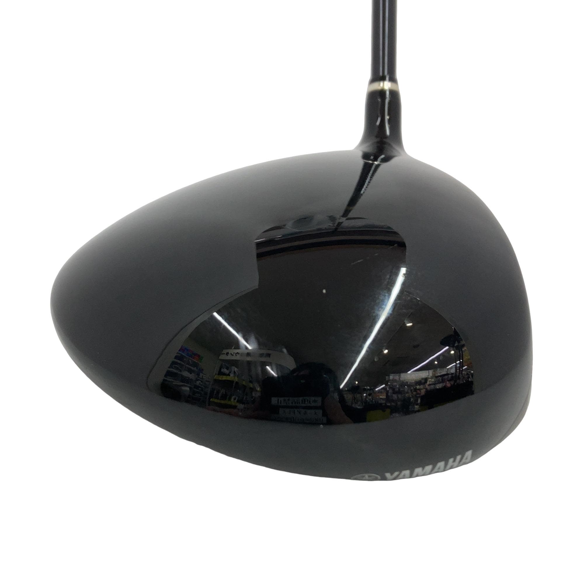 �������������@�w�@�b�������������i�Q�O�P�Q�j�@�P�P�D�T°