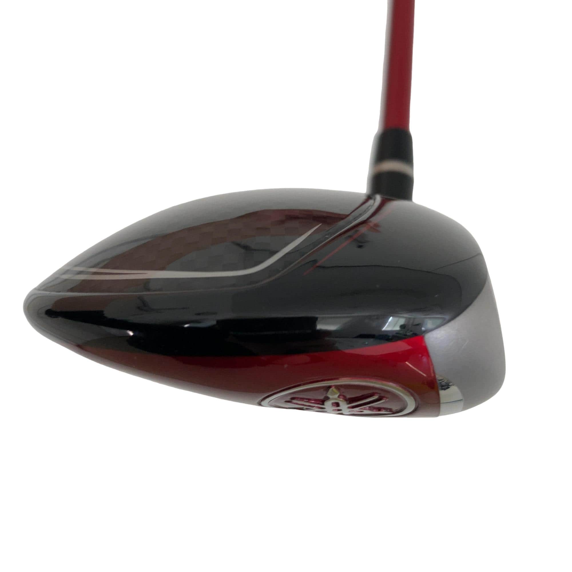 �q�l�w�@�u�c�@�T�v