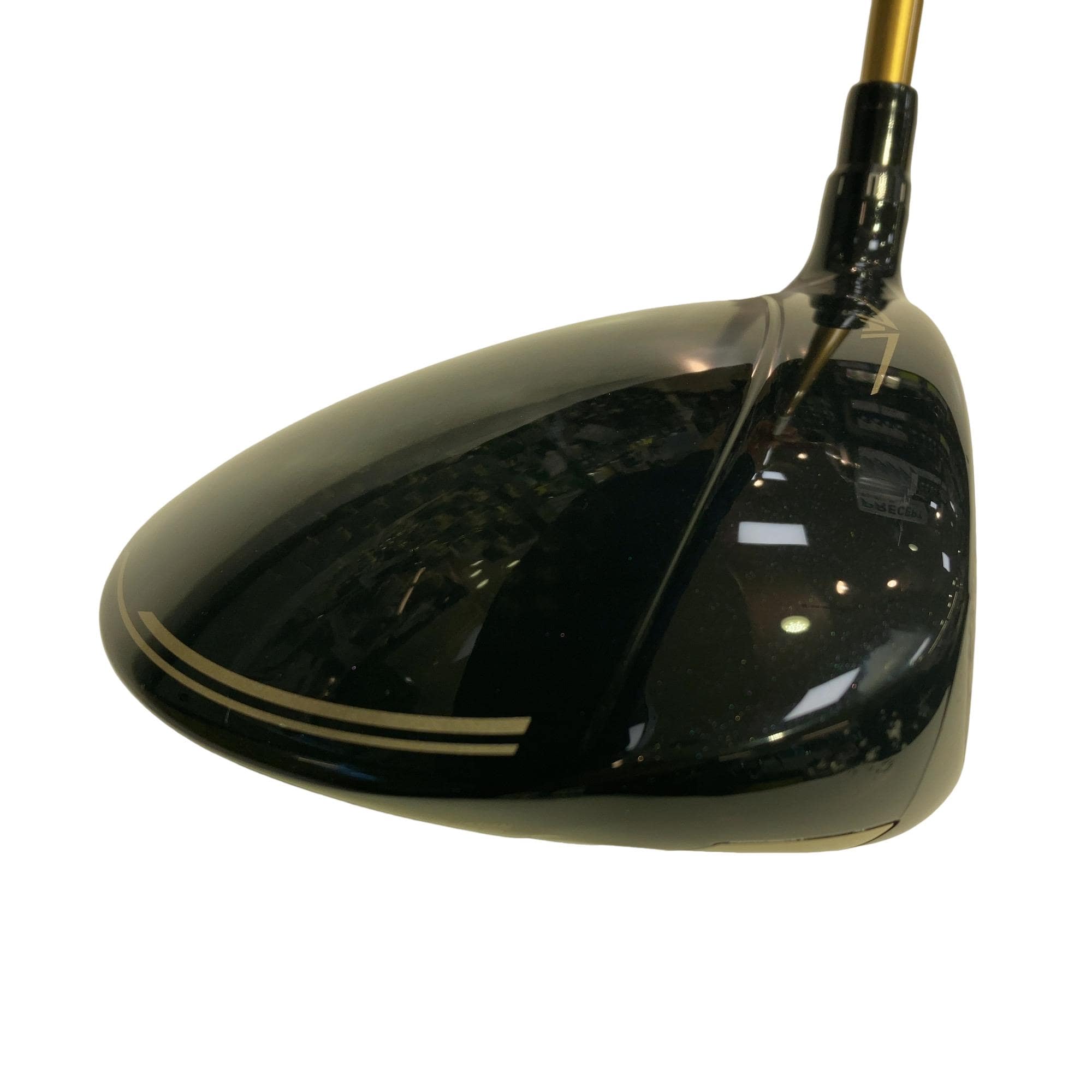 �d�y�n�m�d�@�q���������i�Q�O�Q�P�j�@�P�O�D�T°