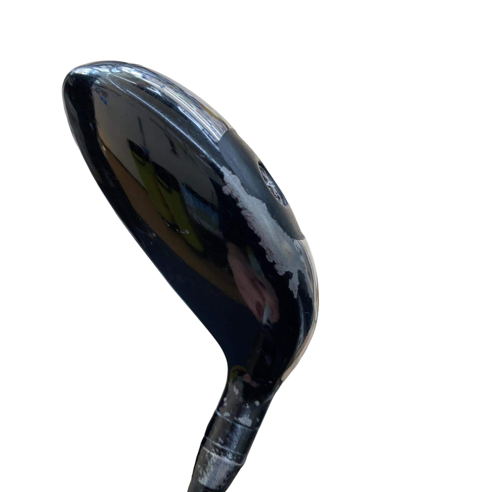 �������������@�q�l�w�@�T�v�@���f�B�[�X