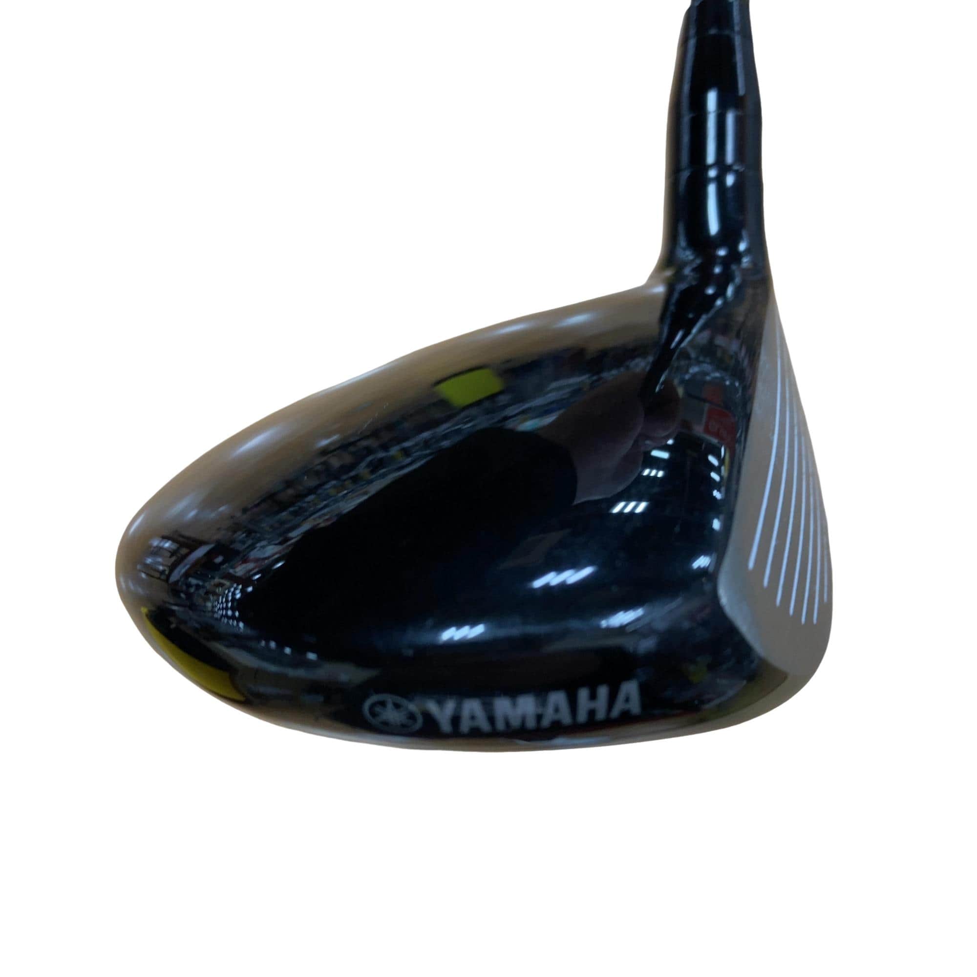 �������������@�q�l�w�@�T�v