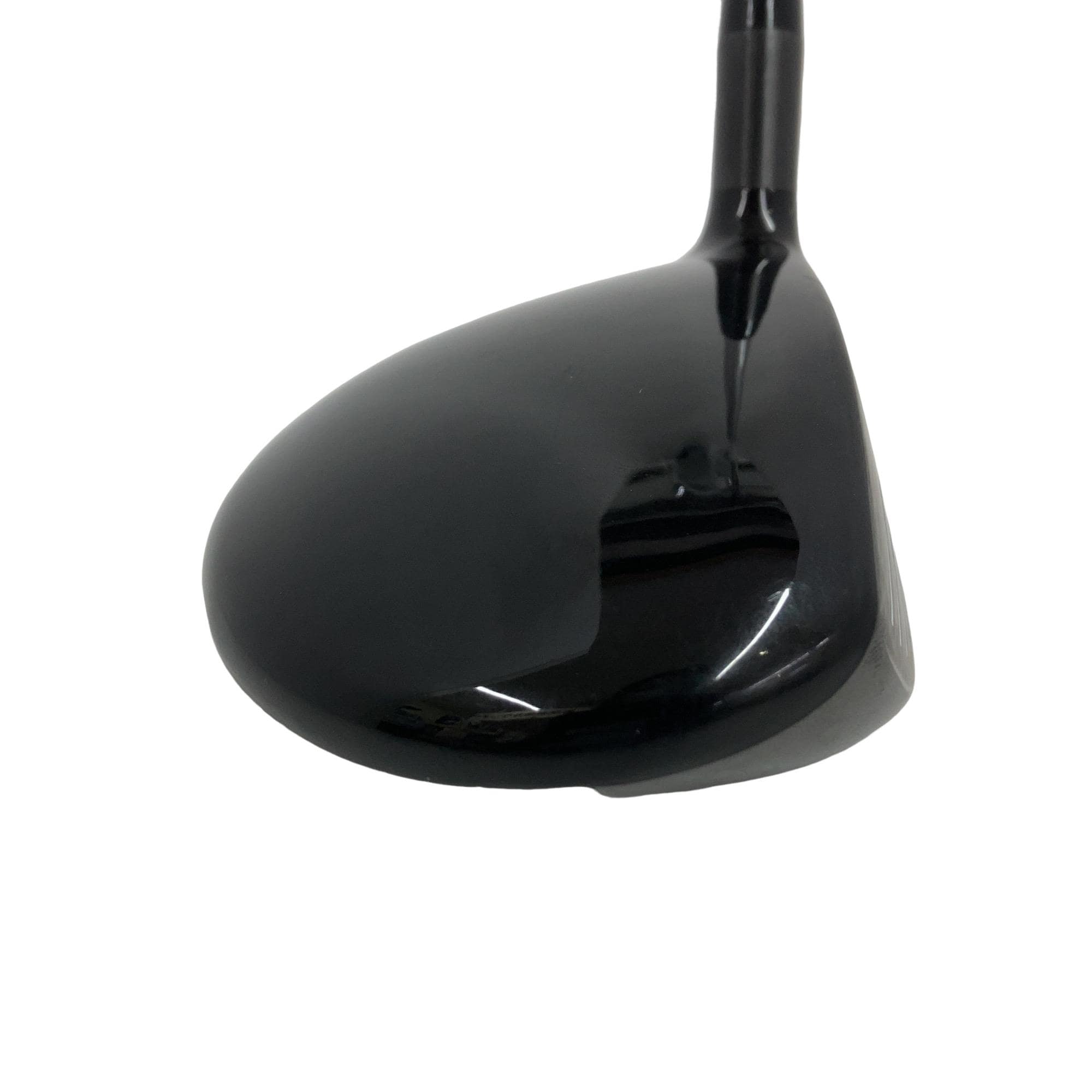 �w�@�g�n�s�@�@�T�v