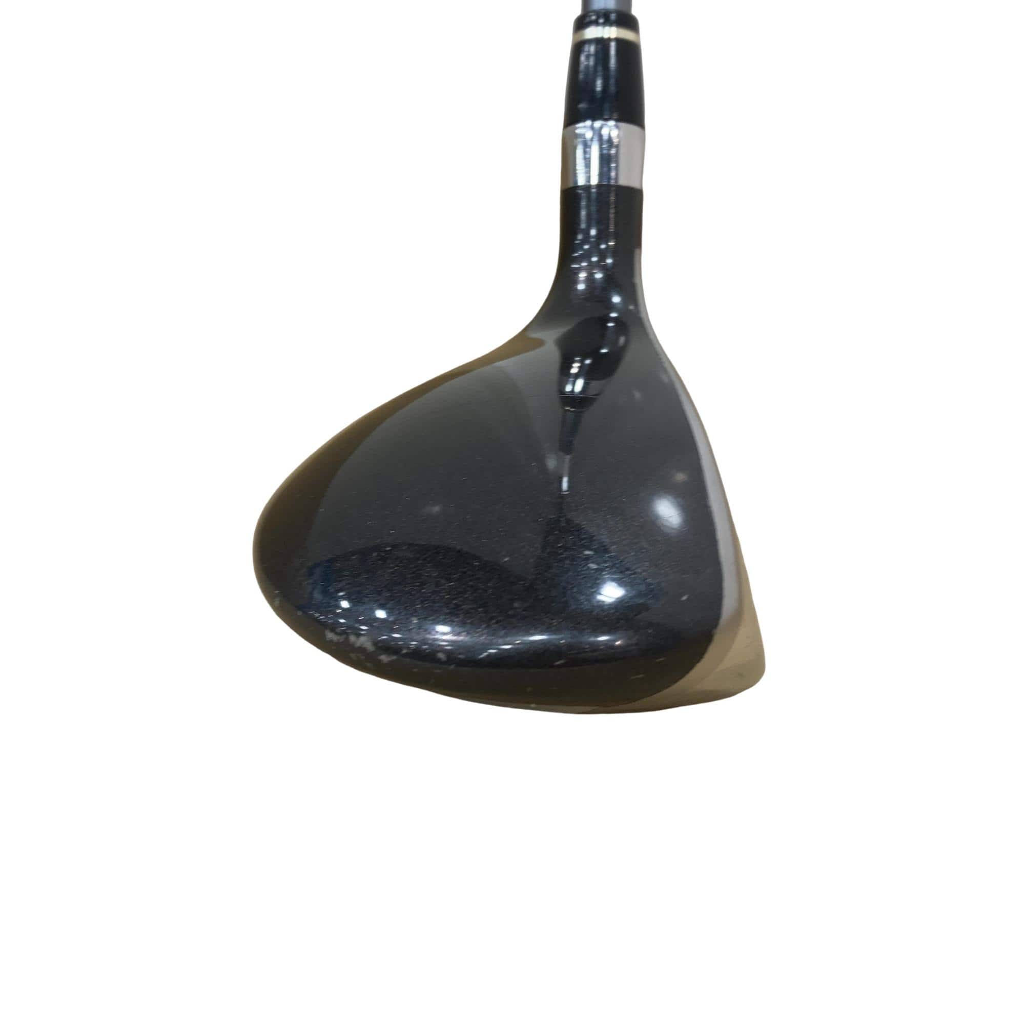 �u�q�Q�r�@���[�e�B���e�B�@�t�R