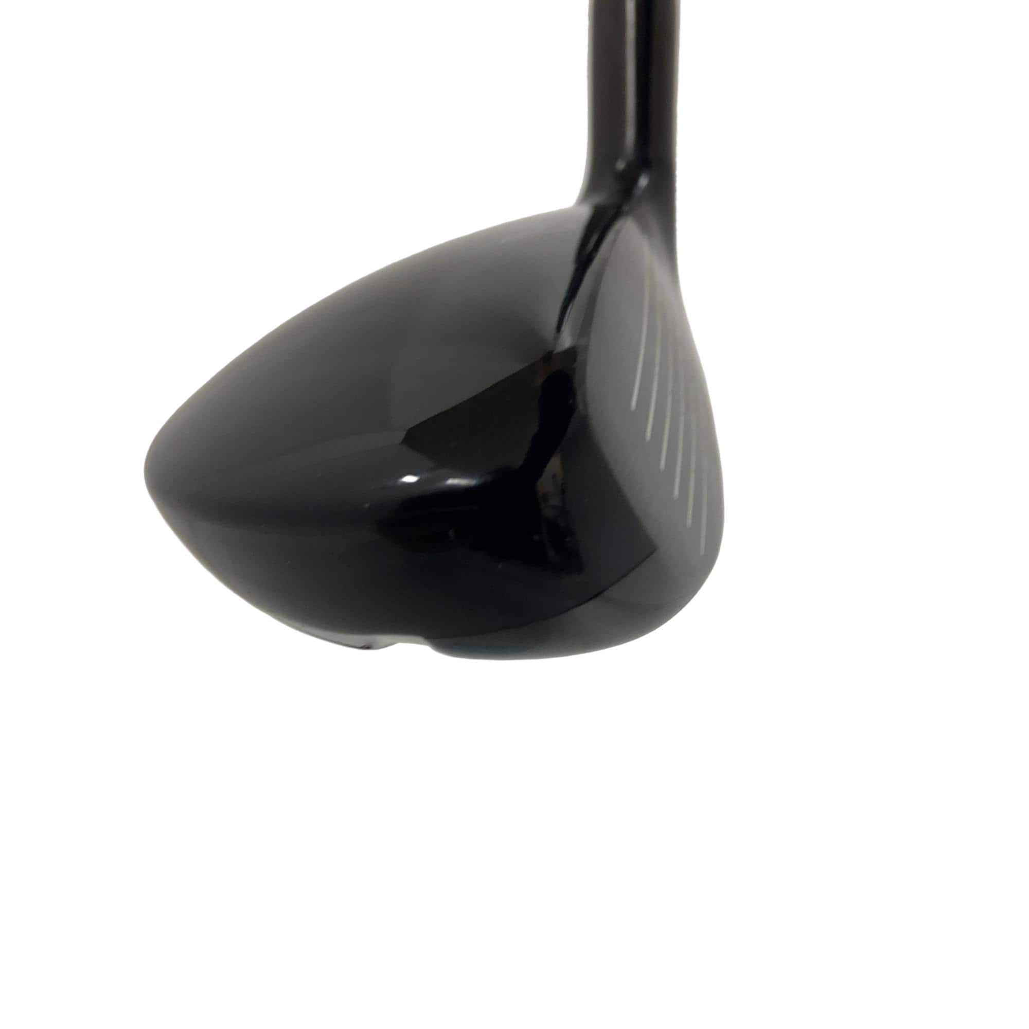 �w�Q�@�g�n�s�@�t�S