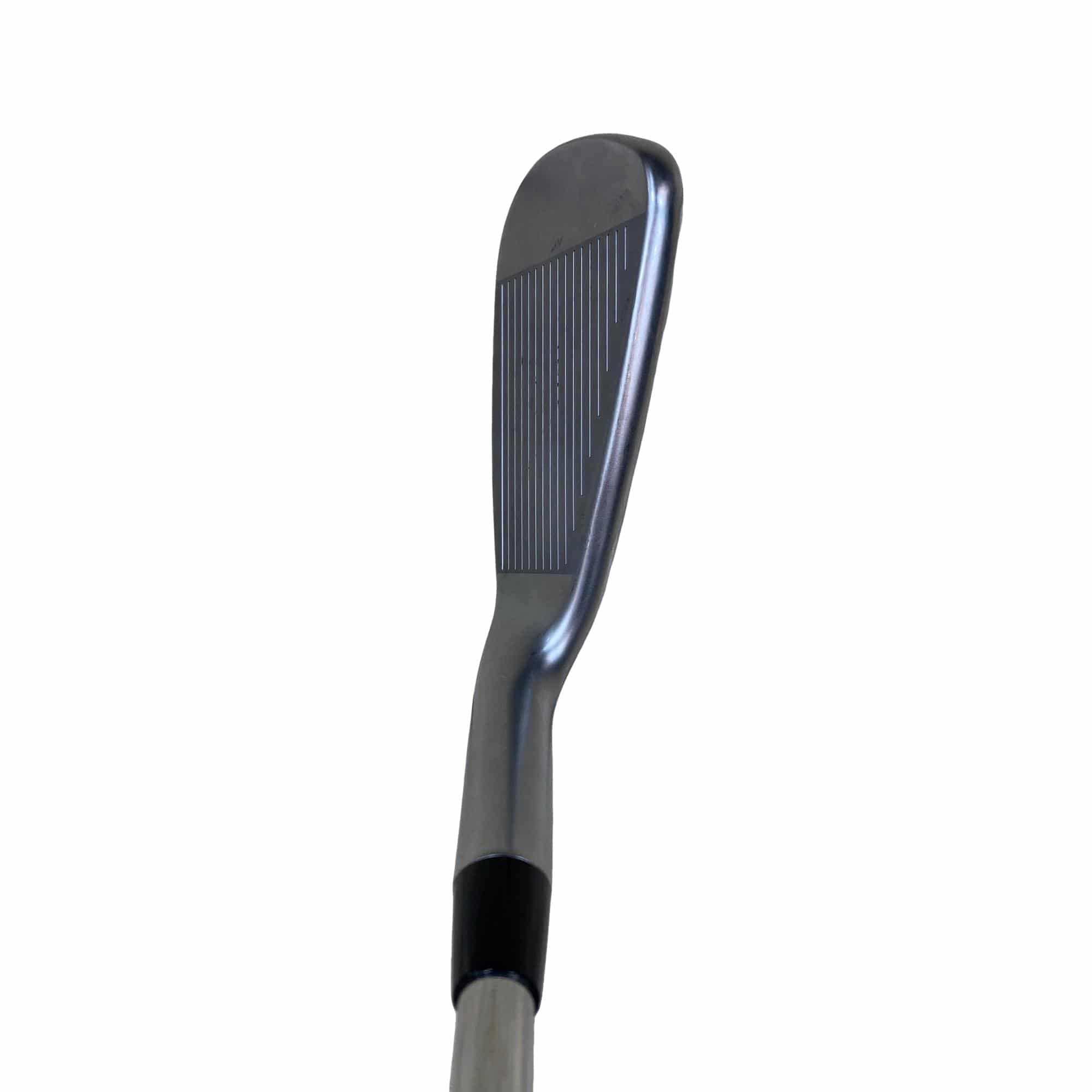 ���T�R�O�@�T�r�i���{���F�T�{�Z�b�g�j