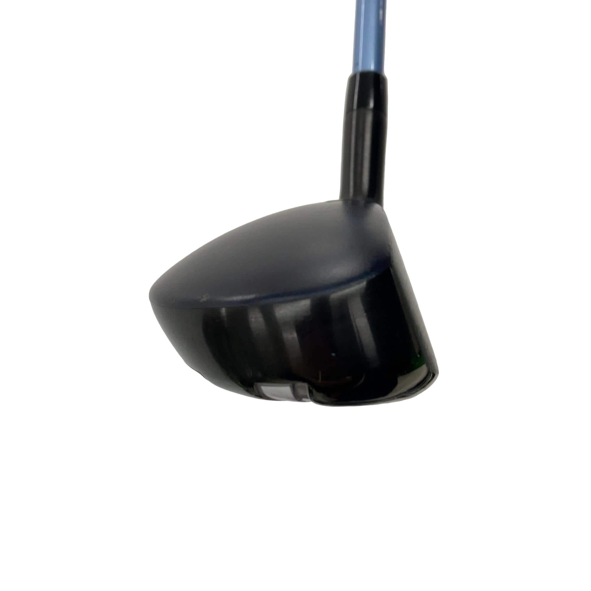 �w�q�@�t�T�@���f�B�[�X