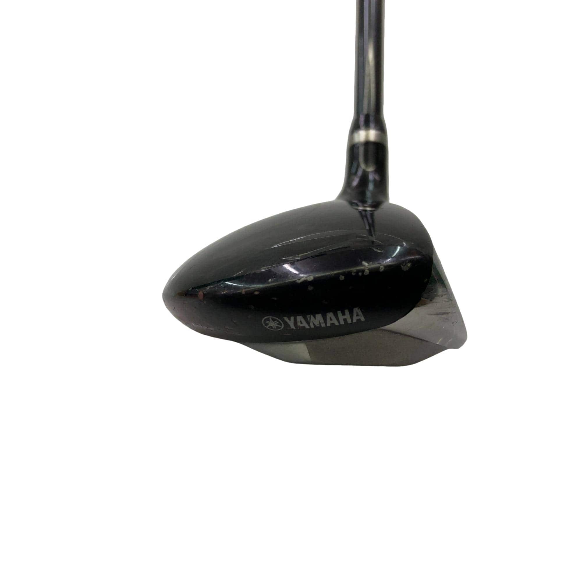 �������������@�w�@�c�@�t�s�i�Q�O�P�Q�j�@�t�T�{�@���f�B�[�X