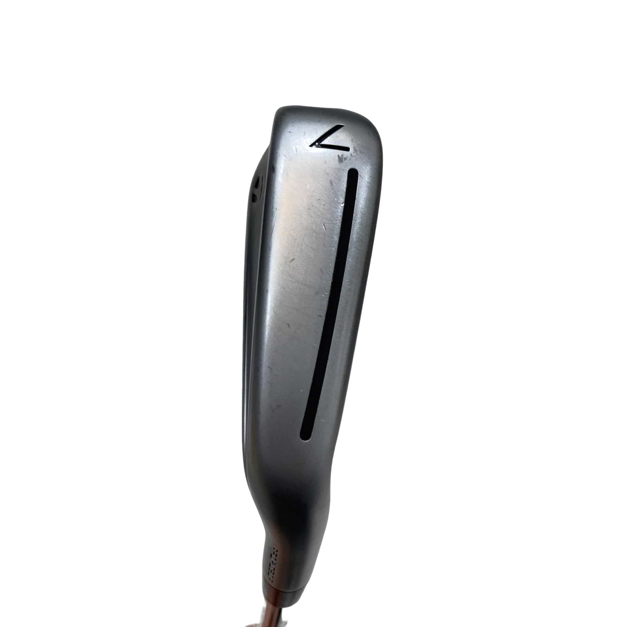 �s�����������@�l�������@�o�E�V�X�O�i�Q�O�Q�R�j�@�T�r�i���{���F�T�{�Z�b�g�j