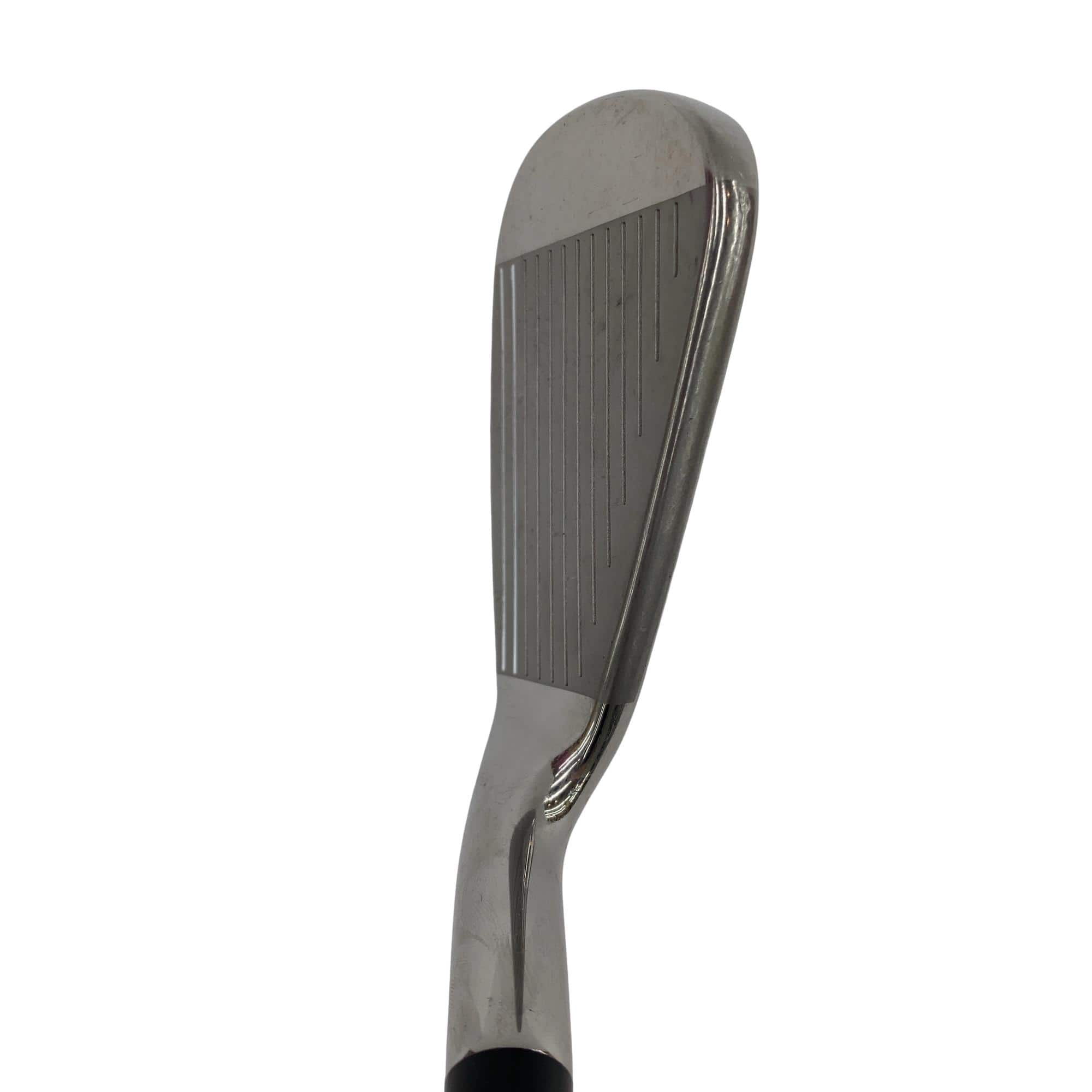 �q�n�f�t�d�@�r�s�@�l�`�w�@�e�`�r�s�@�V�r�i���{���F�U�{�Z�b�g�j